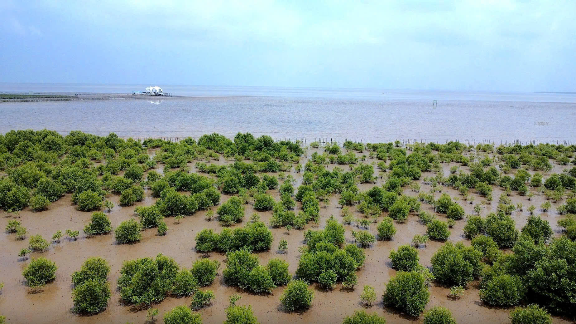 Việt Nam đẩy mạnh giảm phát thải, chống biến đổi khí hậu- Ảnh 1.