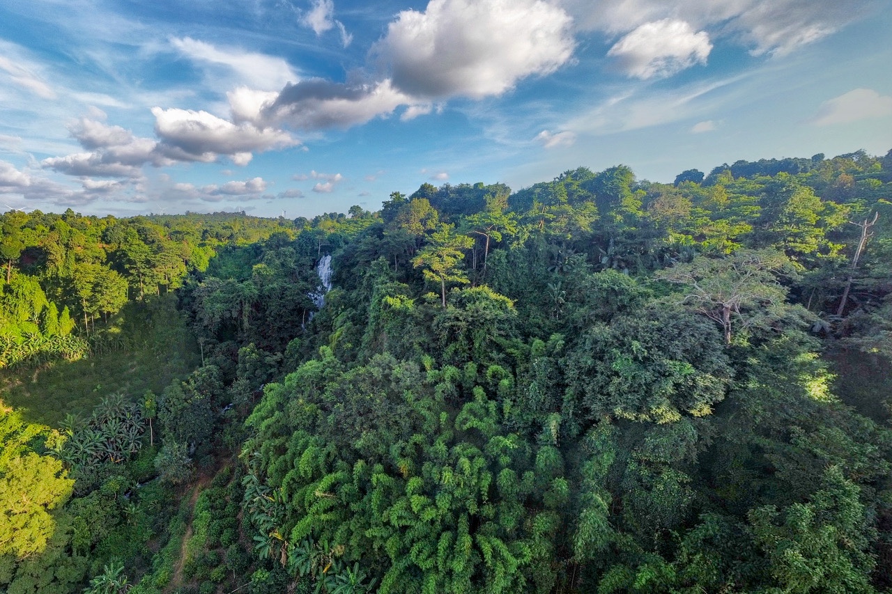 Việt Nam đẩy mạnh giảm phát thải, chống biến đổi khí hậu- Ảnh 3.