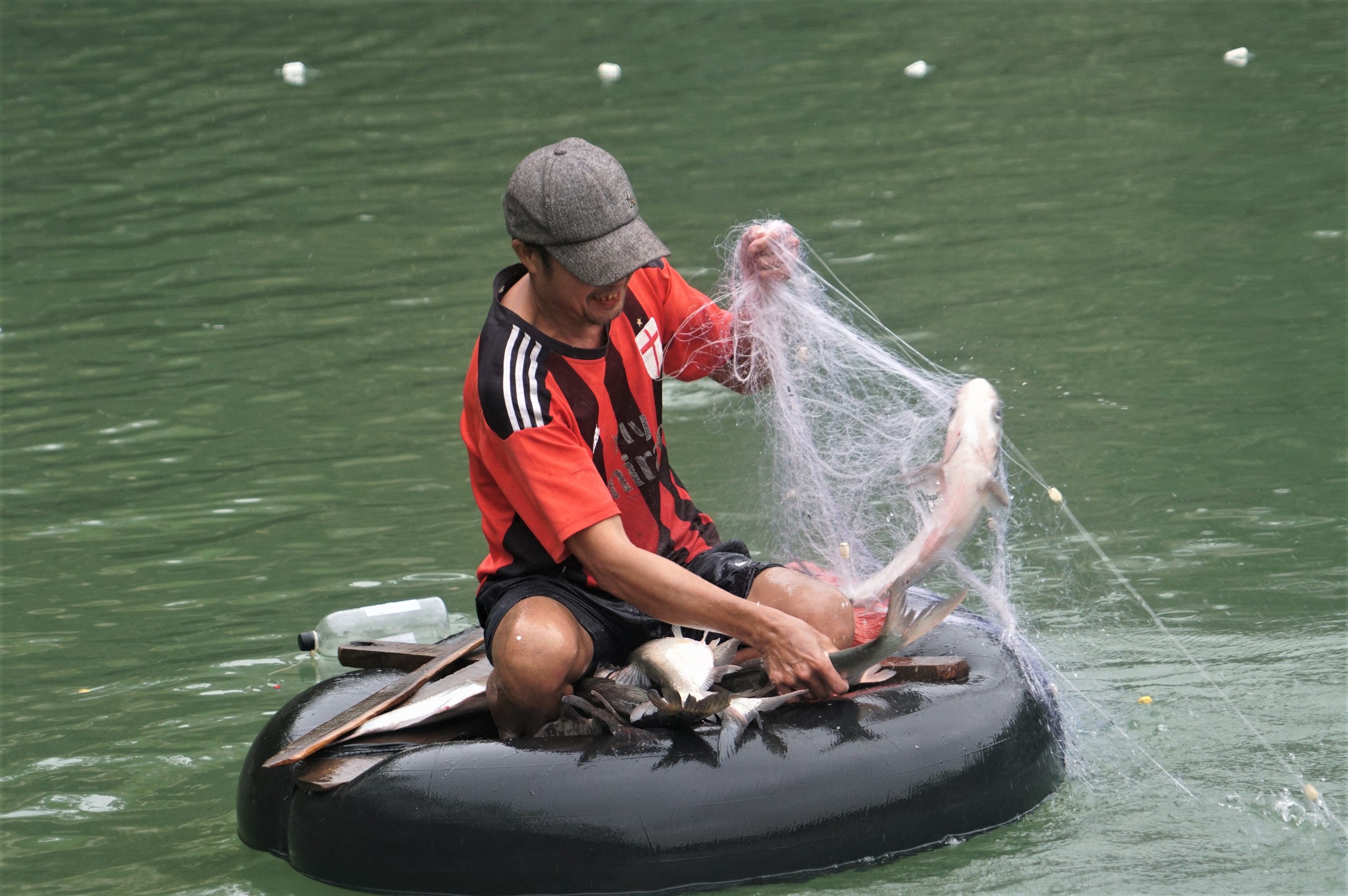 Người dân bắt được cá leo dài cả mét dưới tràn hồ Kẻ Gỗ- Ảnh 3.