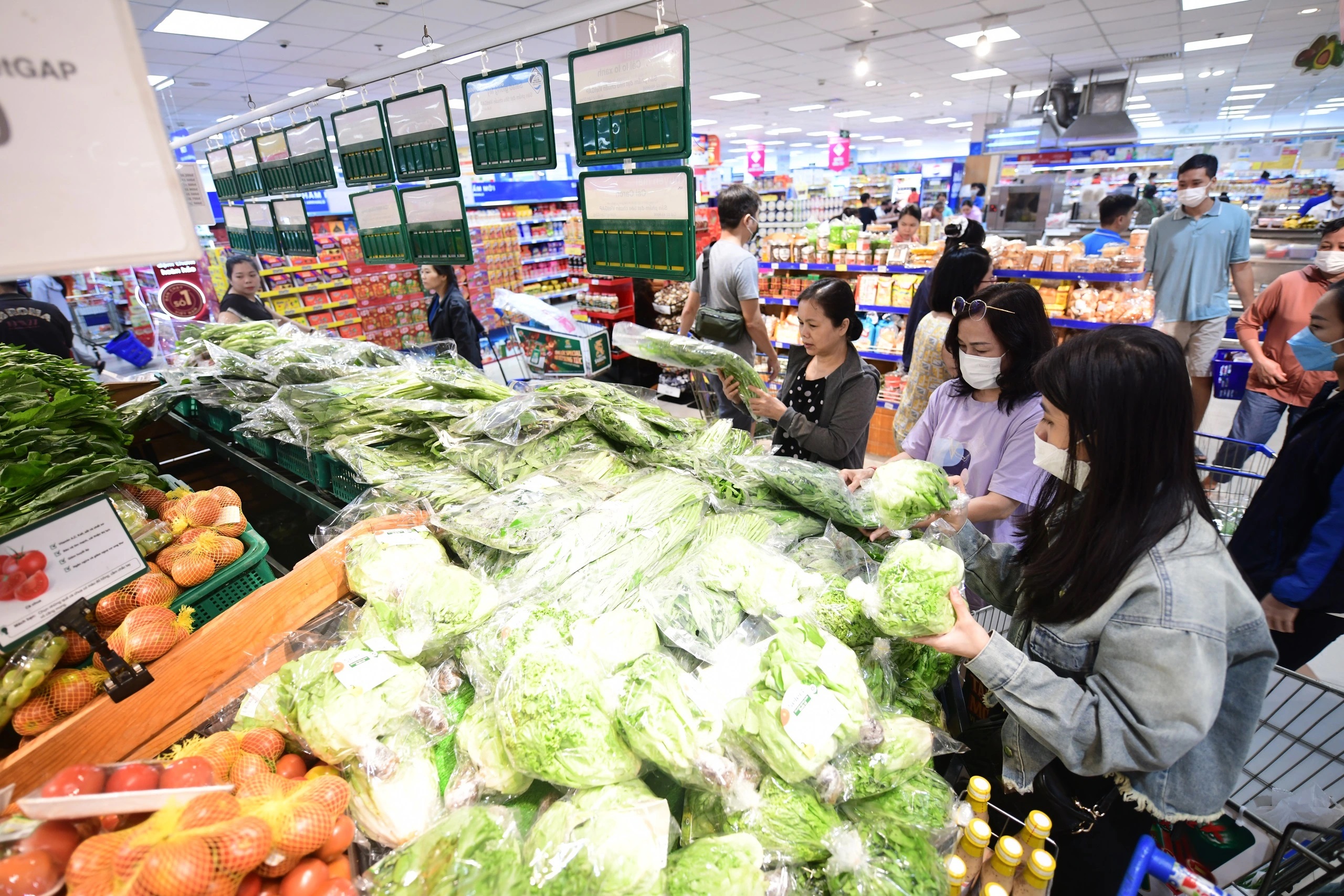 Rau xanh tăng giá vùn vụt- Ảnh 2. Rau xanh tăng giá vùn vụt- Ảnh 2.