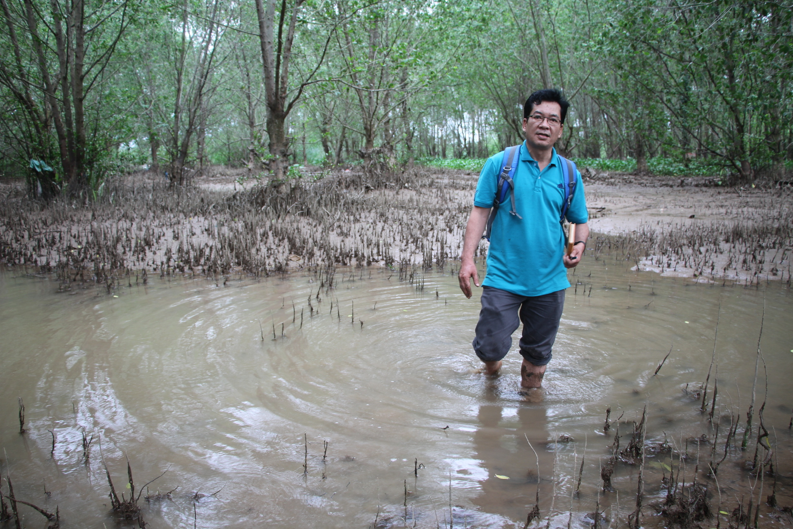 Giải pháp chống ngập lụt ĐBSCL: Sụt lún đất và hướng đi thuận thiên - Ảnh 6. Giải pháp chống ngập lụt ĐBSCL: Sụt lún đất và hướng đi thuận thiên - Ảnh 6.