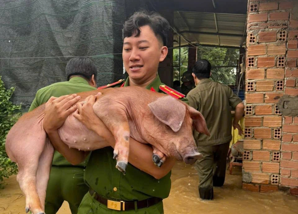 Đồng Nai: Thủy điện xả tràn không báo trước gây ngập lụt, thiệt hại 40 tỉ đồng- Ảnh 2.