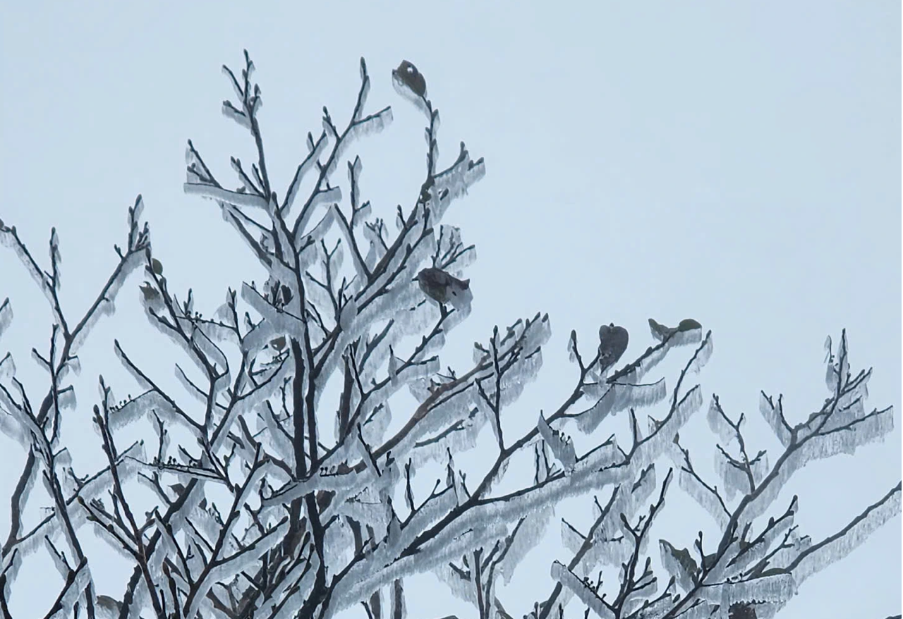 Không khí lạnh mới đang về, miền Trung tiếp tục đón đợt mưa lớn- Ảnh 1.