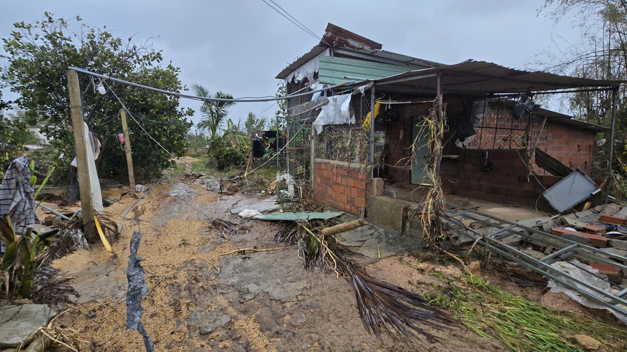 Đê phụ Vân Hội tan hoang sau mưa lũ - Ảnh 6.