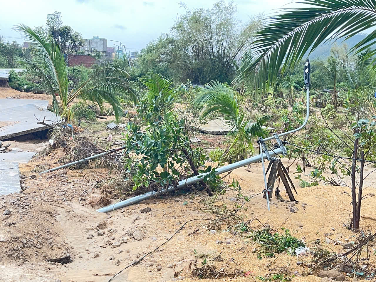 Đê phụ Vân Hội tan hoang sau mưa lũ - Ảnh 5.