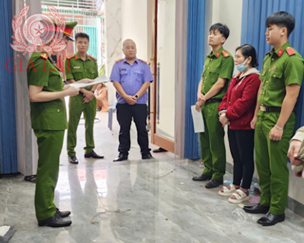 Bắt tạm giam 'nữ quái' lừa đảo nhiều tỉ đồng tại Gia Lai- Ảnh 1.