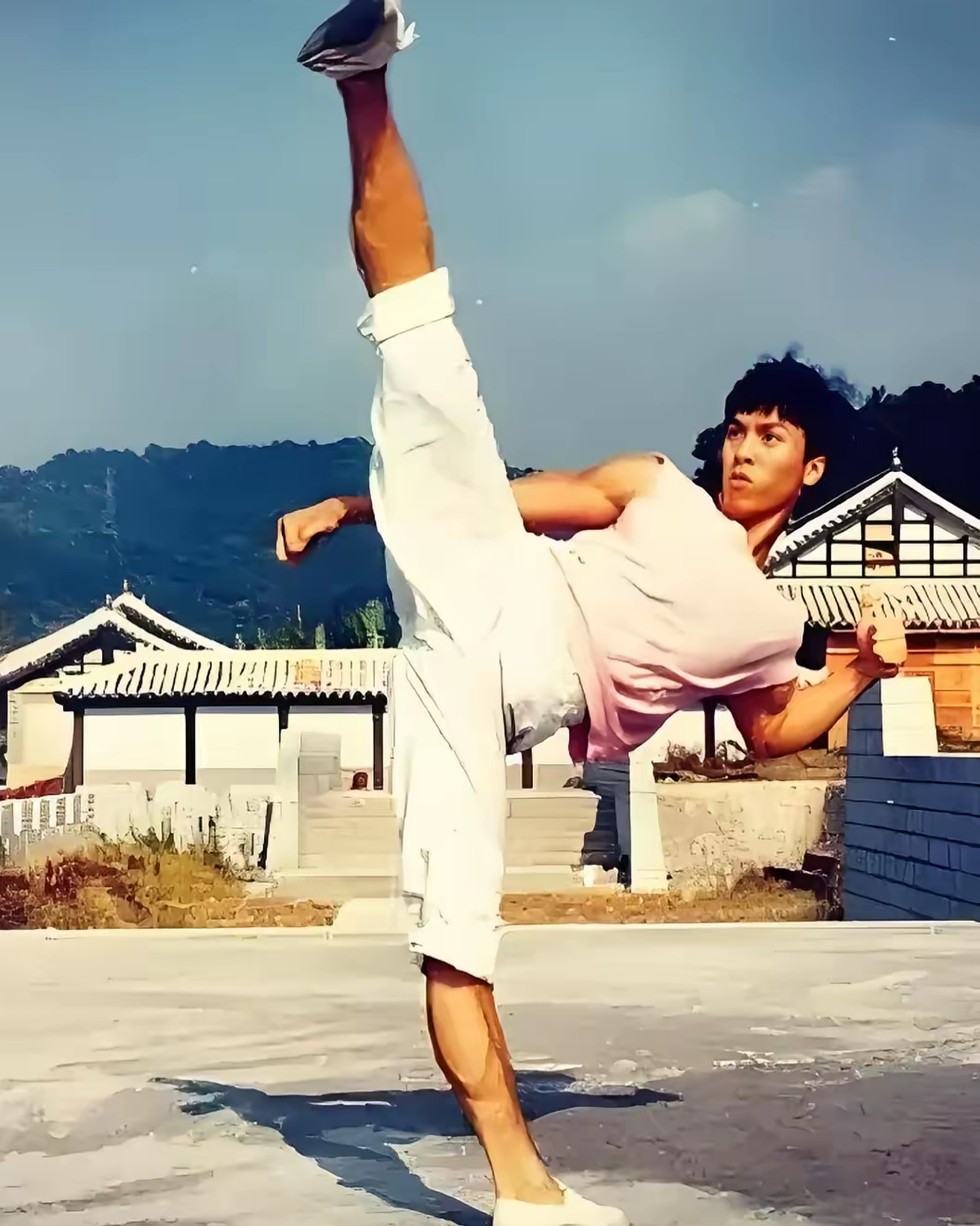 Chân Tử Đan từng trắng tay, phải vay nặng lãi cầm cự - Ảnh 2.