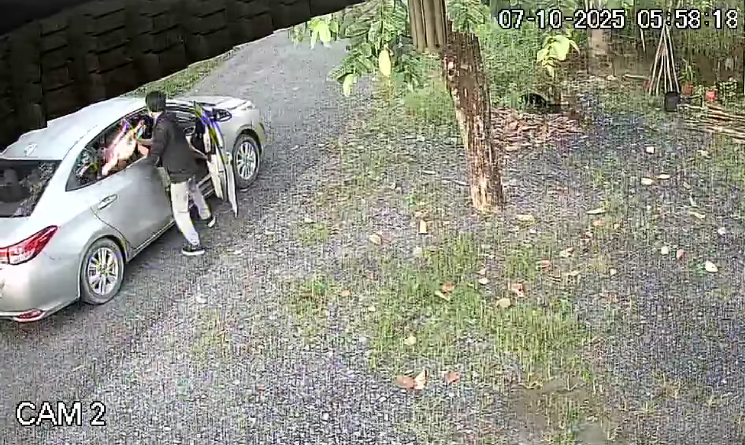 Trộm chó mèo hoành hành ở TP.HCM: Manh động, liều lĩnh giữa ban ngày- Ảnh 4. Trộm chó mèo hoành hành ở TP.HCM: Manh động, liều lĩnh giữa ban ngày- Ảnh 4.