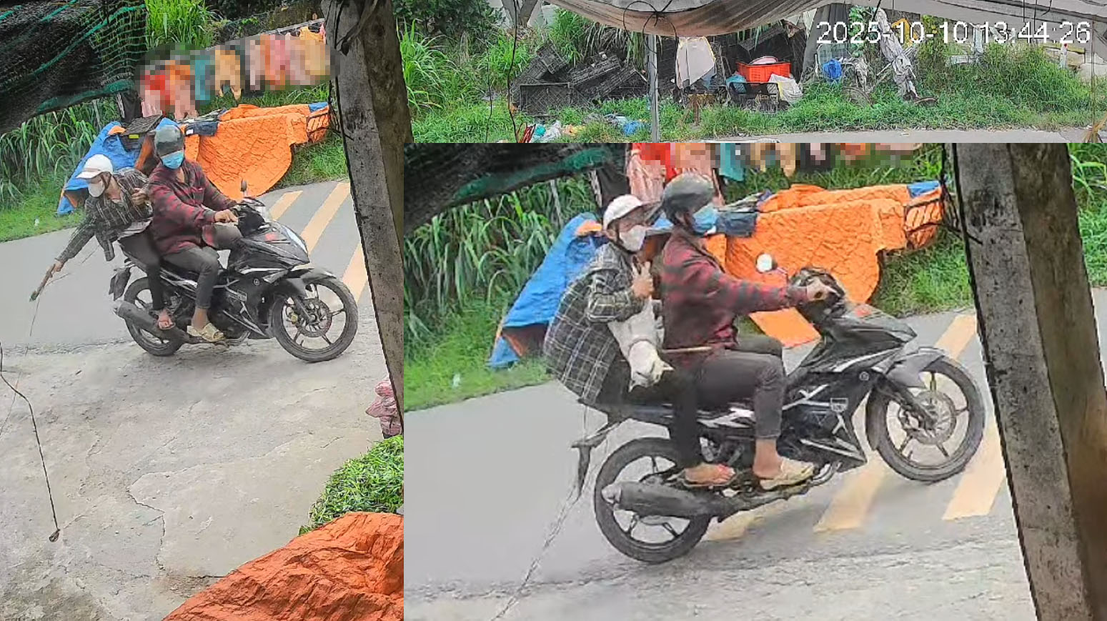 Trộm chó mèo hoành hành ở TP.HCM: Manh động, liều lĩnh giữa ban ngày- Ảnh 1. Trộm chó mèo hoành hành ở TP.HCM: Manh động, liều lĩnh giữa ban ngày- Ảnh 1.