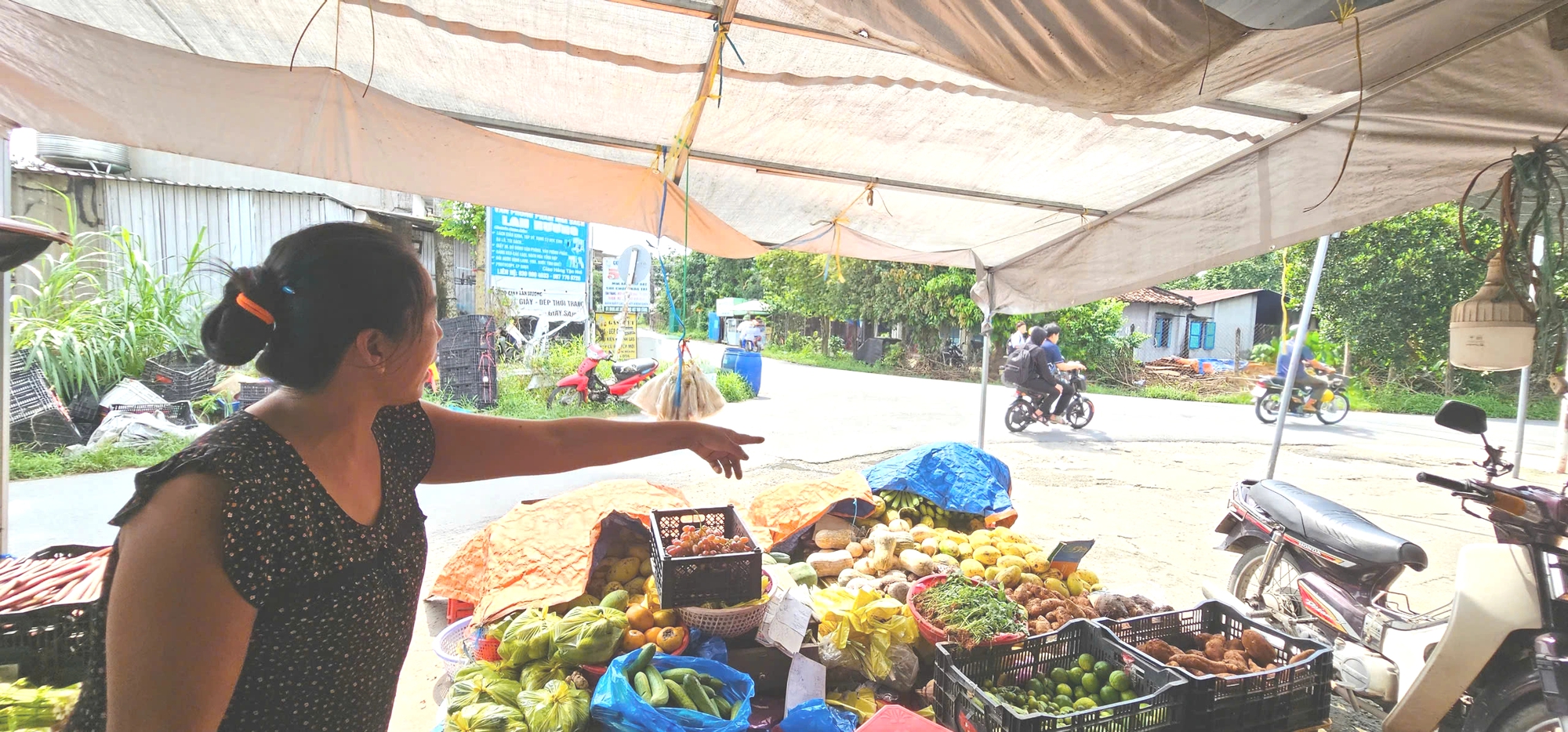 Trộm chó mèo hoành hành ở TP.HCM: Manh động, liều lĩnh giữa ban ngày- Ảnh 2. Trộm chó mèo hoành hành ở TP.HCM: Manh động, liều lĩnh giữa ban ngày- Ảnh 2.