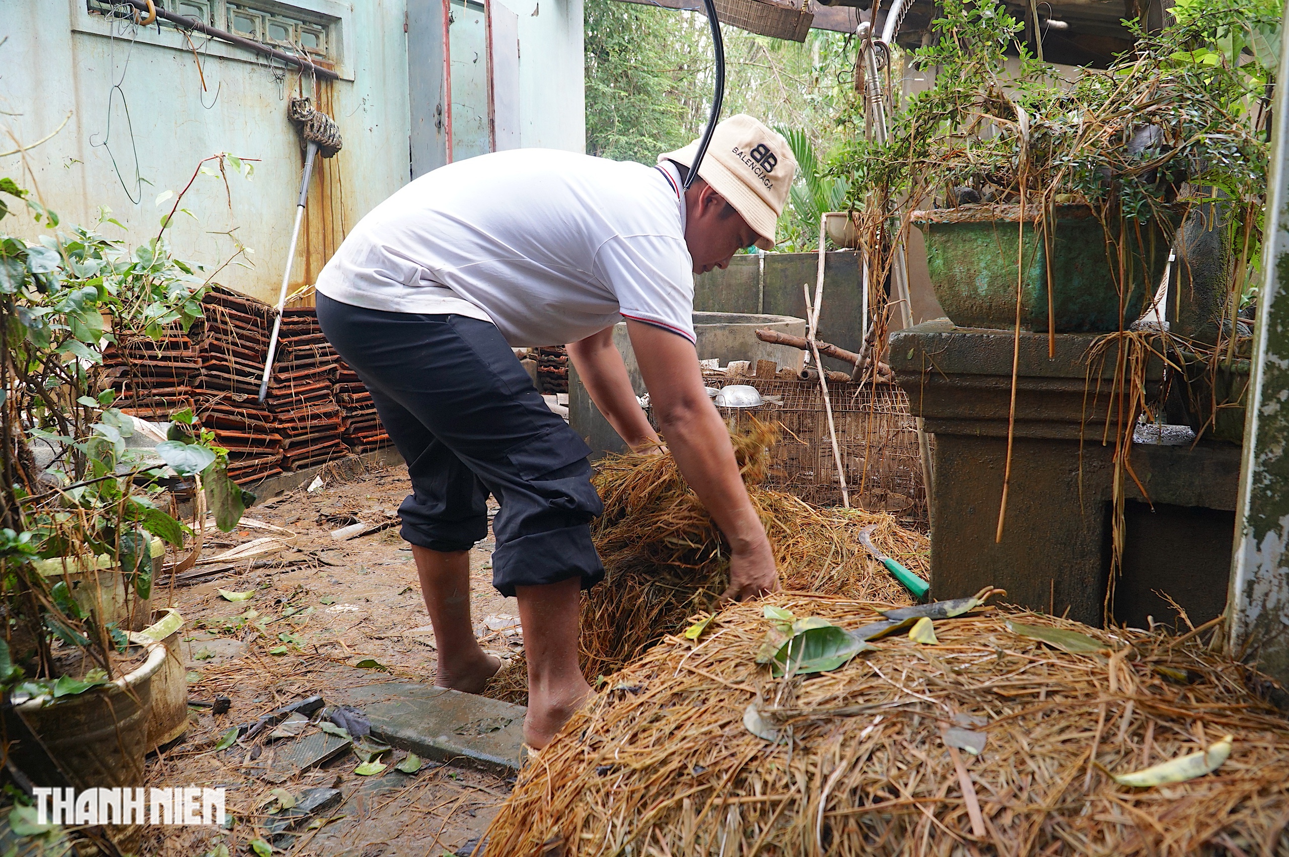Trâu mắc kẹt trên mái nhà 5 ngày giữa rốn lũ hòa Thịnh , Đắk Lắk - Ảnh 11. Trâu mắc kẹt trên mái nhà 5 ngày giữa rốn lũ hòa Thịnh , Đắk Lắk - Ảnh 11.
