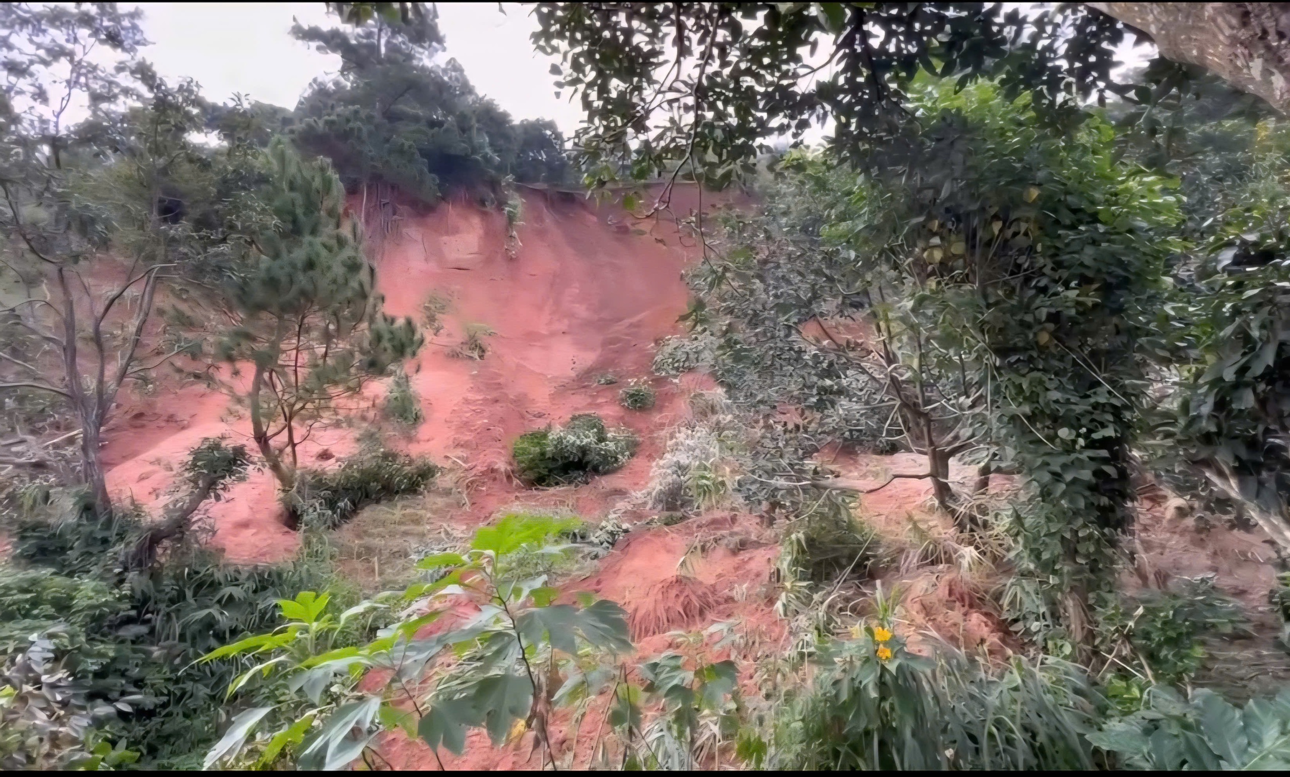 Chuyên gia Hà Nội khảo sát vết nứt dài trên đồi Ba Lá Xanh- Ảnh 3.