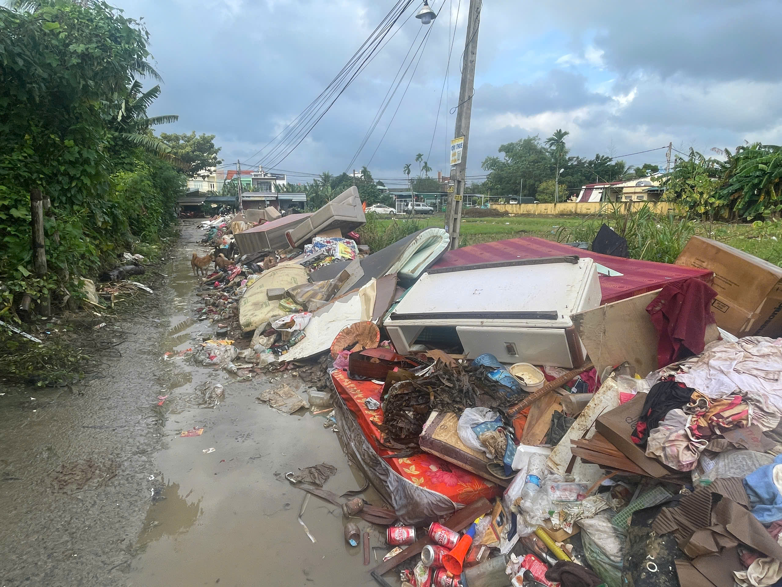 Khánh Hòa cấp tập thu dọn lượng rác khổng lồ ở phường Tây Nha Trang- Ảnh 12. Khánh Hòa cấp tập thu dọn lượng rác khổng lồ ở phường Tây Nha Trang- Ảnh 12.