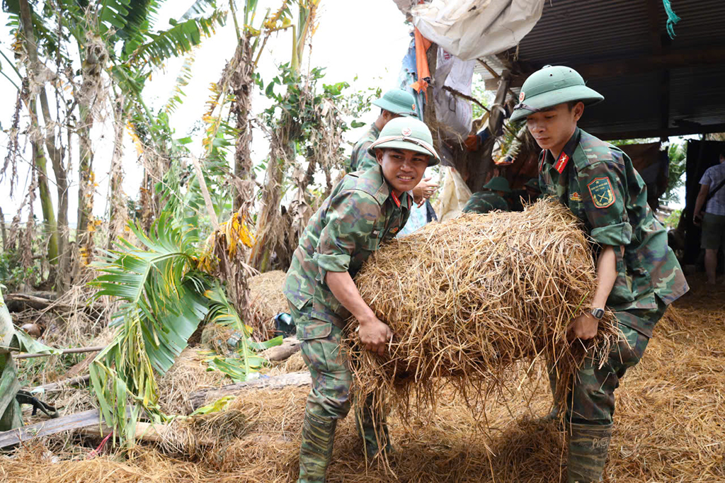 - Ảnh 2. - Ảnh 2.