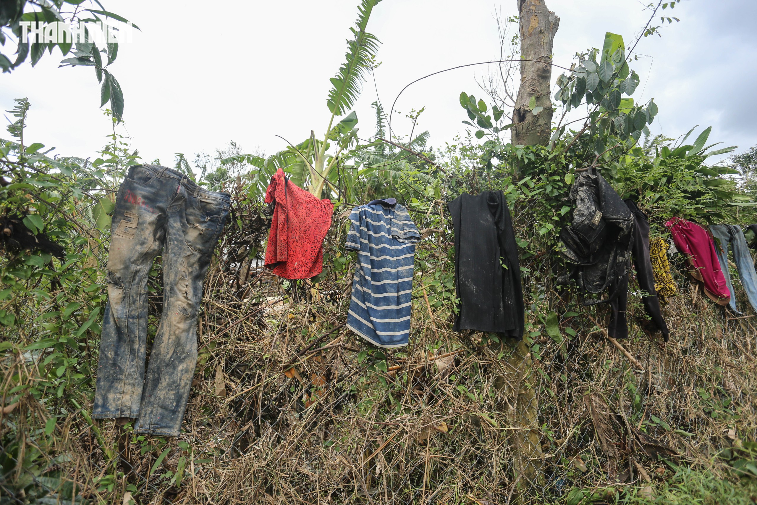 Trở lại thôn Hội Cư để thực hiện một lời hứa: Nhiều người trực trào nước mắt- Ảnh 7.