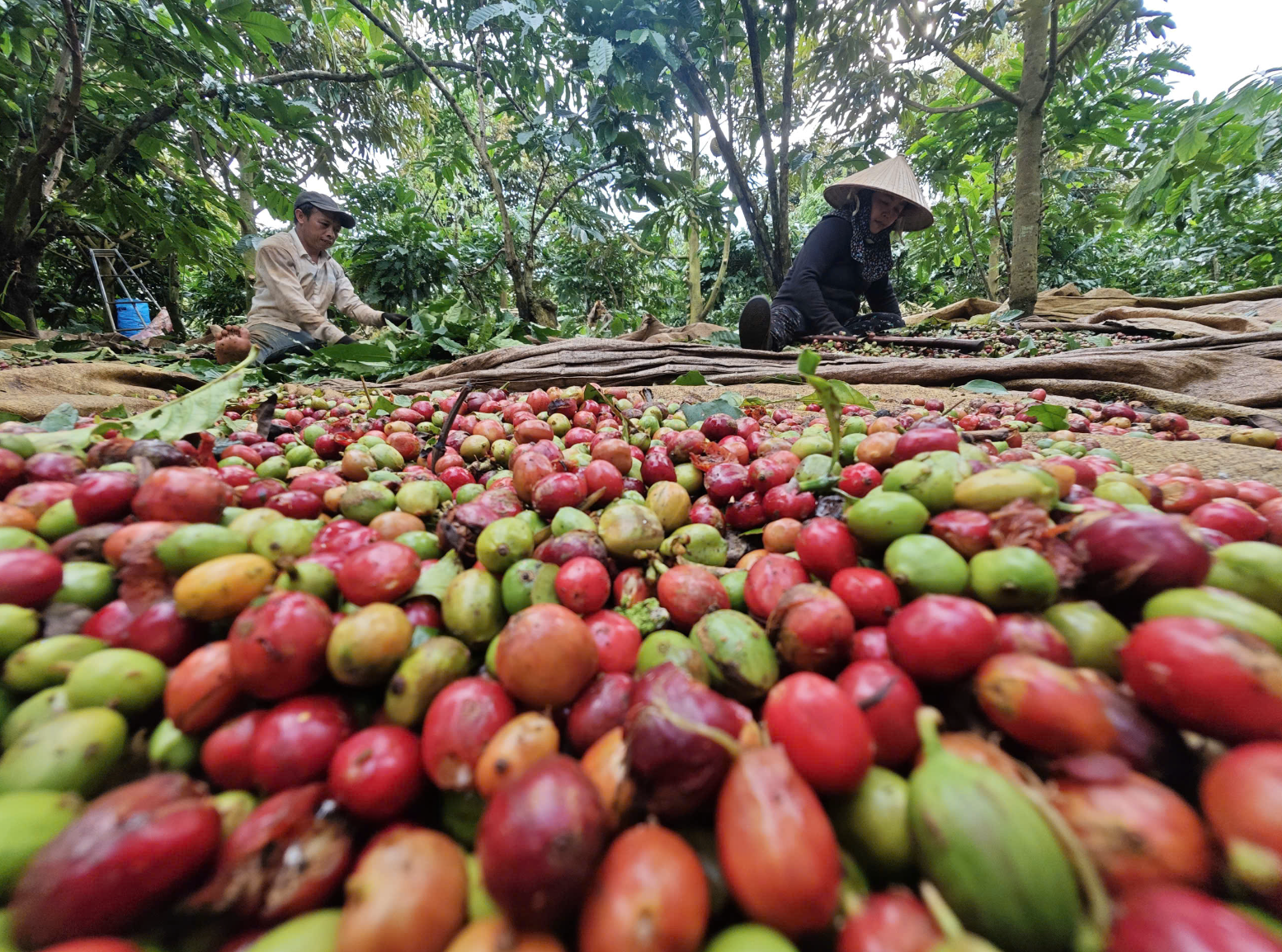 'Điểm nghẽn' nào khiến 5 ngành hàng tỉ USD cùng kiến nghị tháo gỡ?  - Ảnh 1.