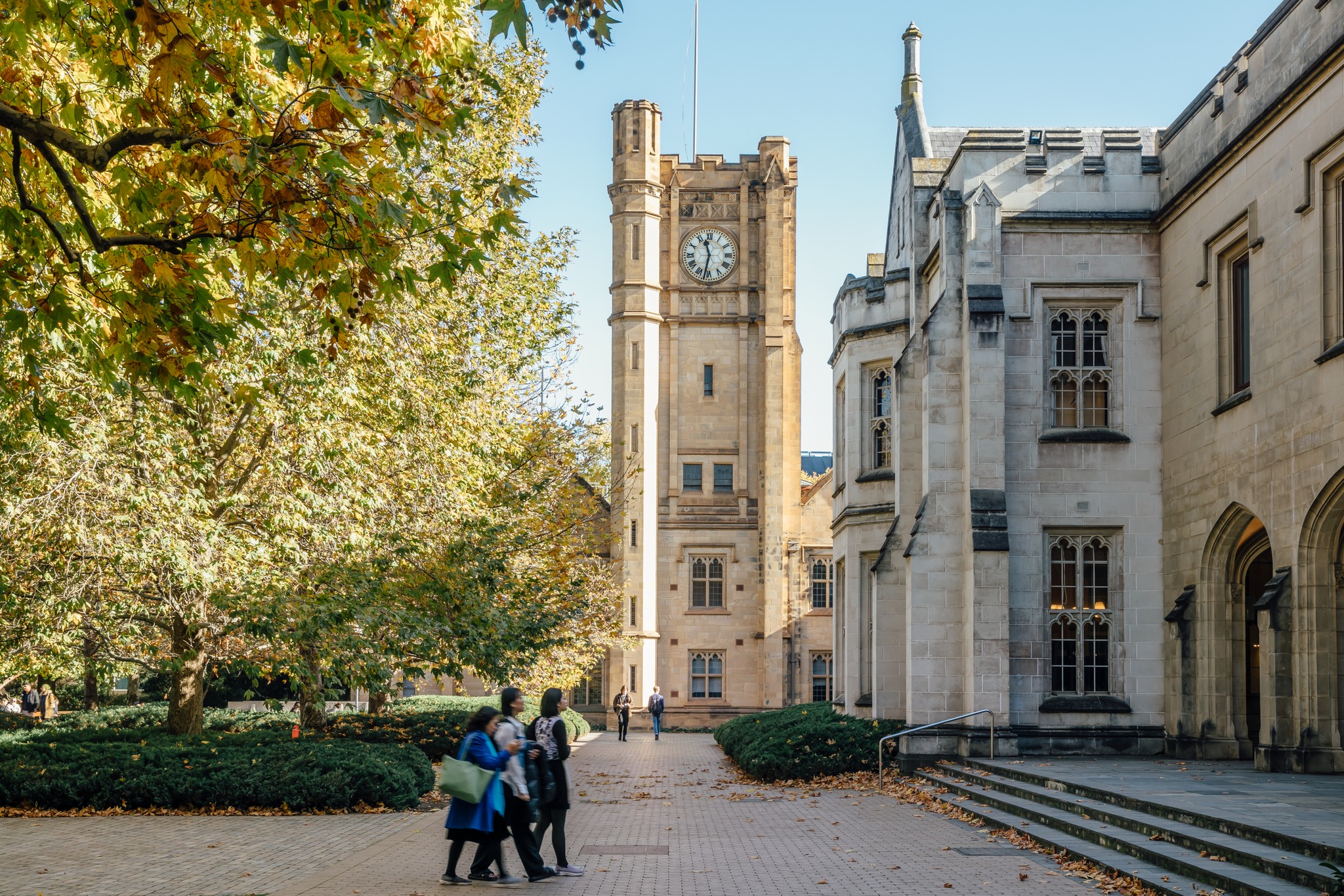 Người Việt lần đầu du học Úc giảm 42% - Ảnh 1.