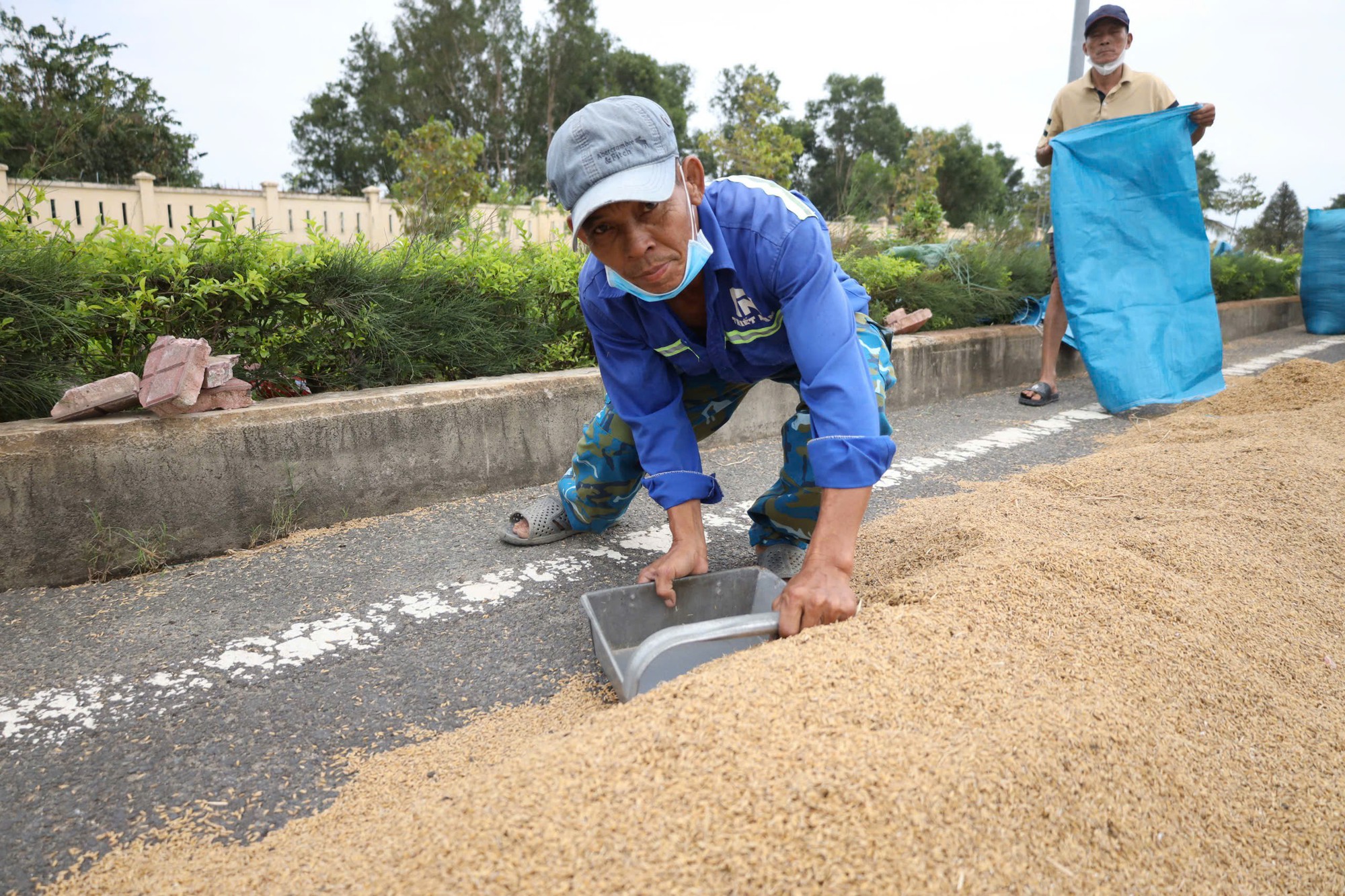 Trắng tay sau lũ , cha bán rẻ lúa ẩm để mua sữa cho con nhỏ - Ảnh 4.