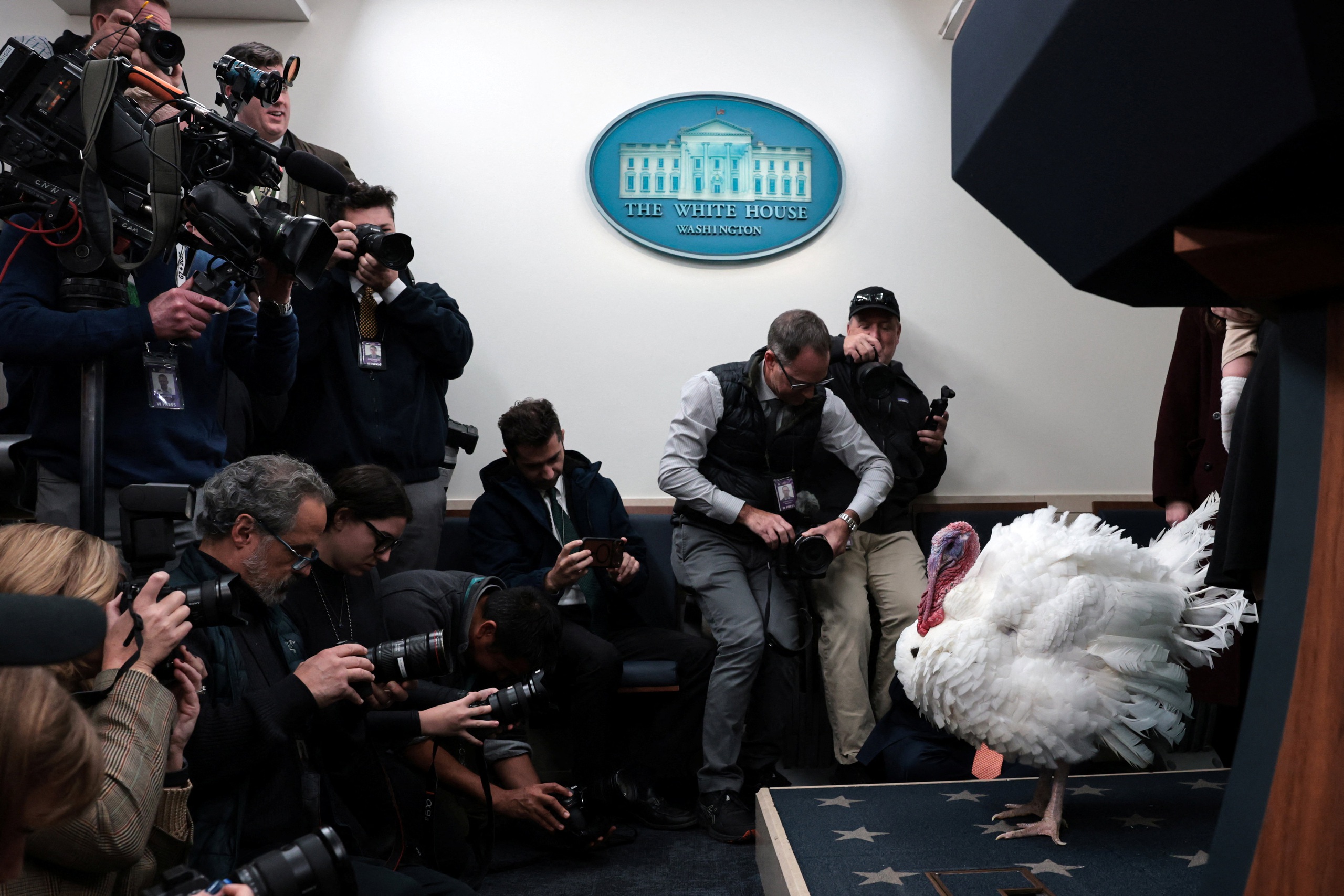 Tổng thống Trump ân xá gà tây dịp Lễ tạ ơn - Ảnh 2.