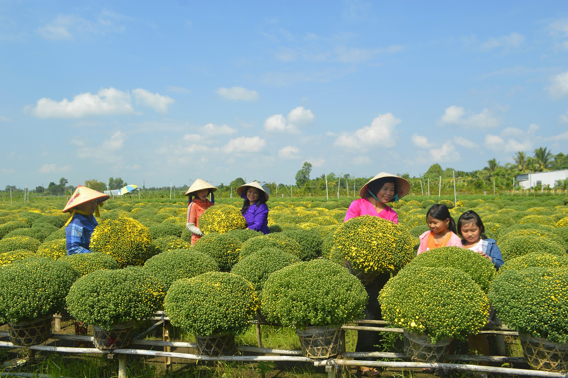 Về Đồng Tháp, nhớ làng hoa Sa Đéc và làng cổ Đồng Hòa Hiệp - Ảnh 3.