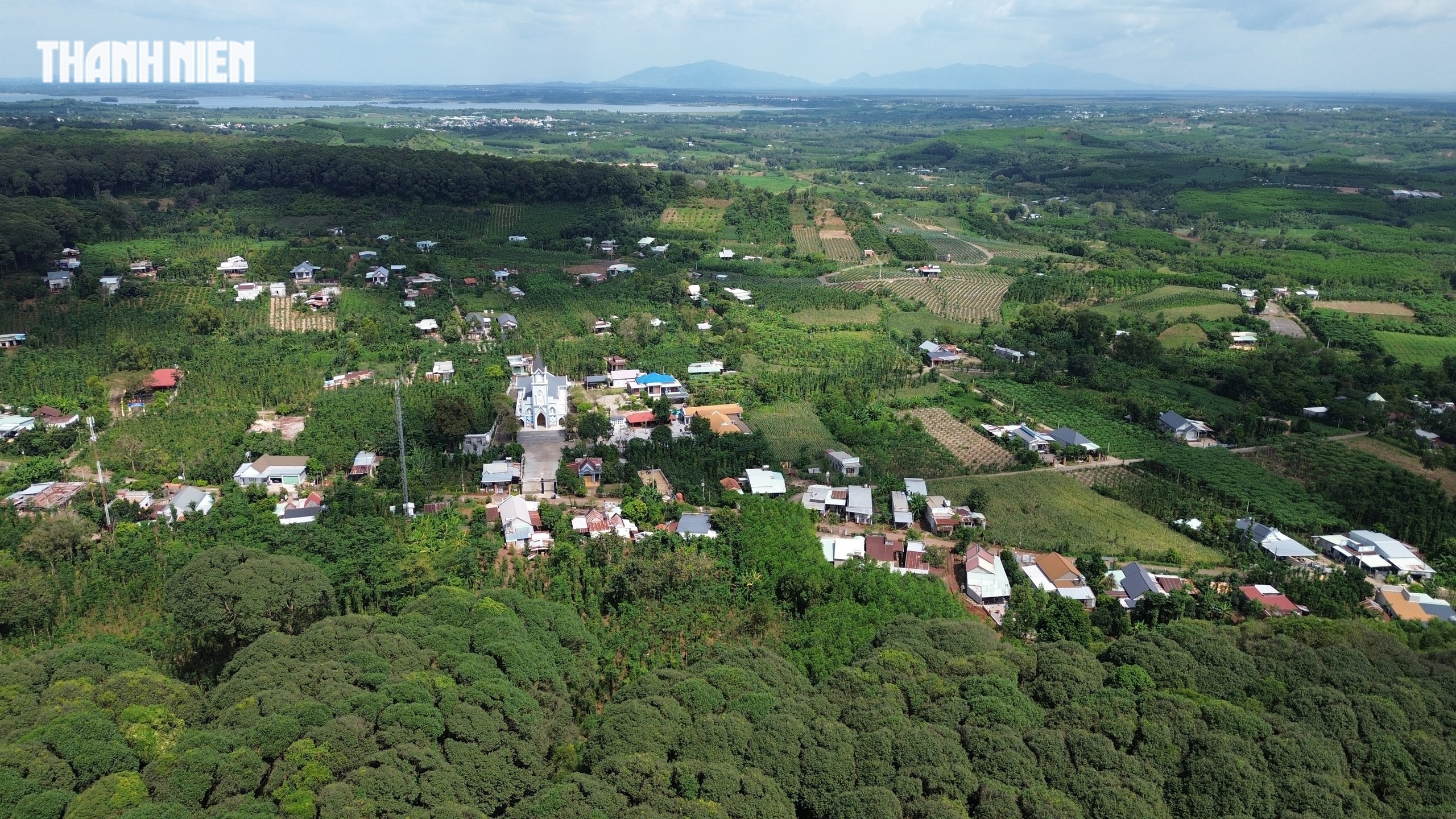 TP.HCM: Xã Xuân Sơn có khu rừng phòng hộ, quanh năm mát lạnh như Đà Lạt   - Ảnh 6.