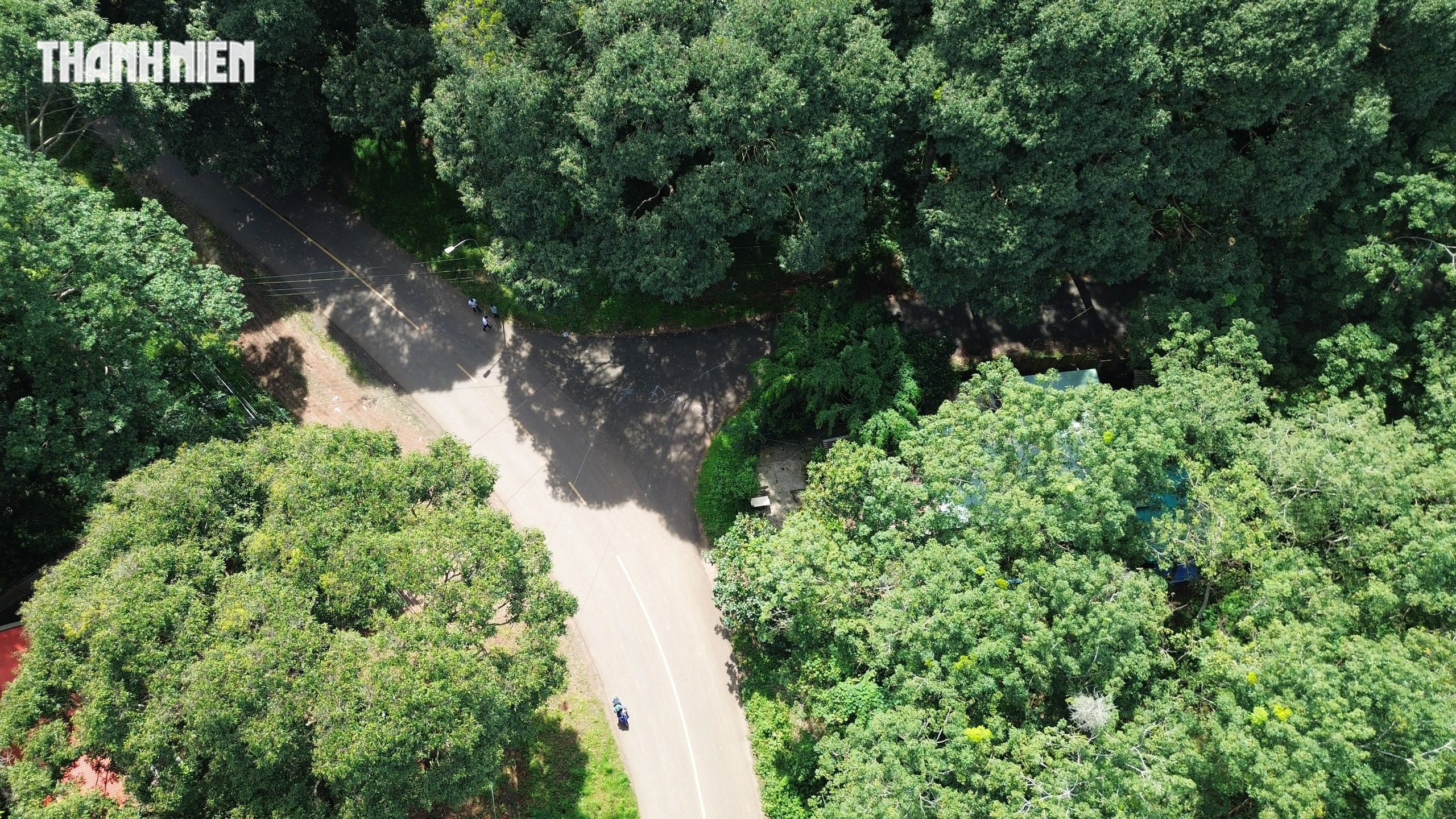 TP.HCM: Xã Xuân Sơn có khu rừng phòng hộ, quanh năm mát lạnh như Đà Lạt   - Ảnh 13.