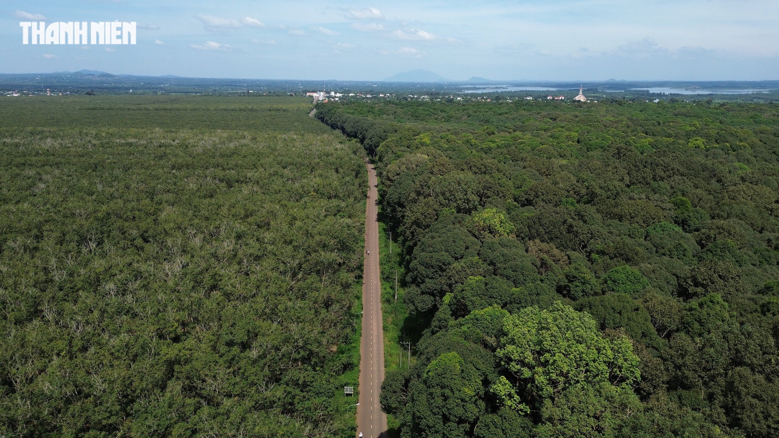 TP.HCM: Xã Xuân Sơn có khu rừng phòng hộ, quanh năm mát lạnh như Đà Lạt   - Ảnh 11.
