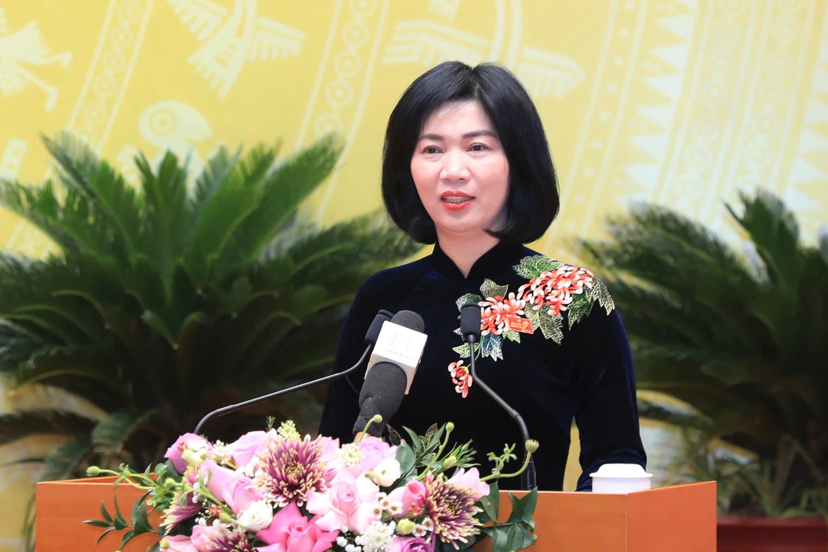 Bí thư Hà Nội: HĐND cần giám sát chủ động, sớm phát hiện các 'điểm nghẽn'- Ảnh 2.