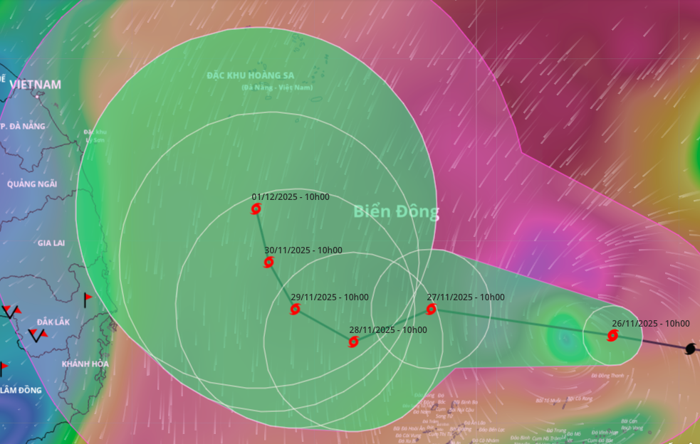 Dự báo kịch bản xấu bão số 15 không đổi hướng, đi thẳng Gia Lai, Khánh Hòa- Ảnh 1.