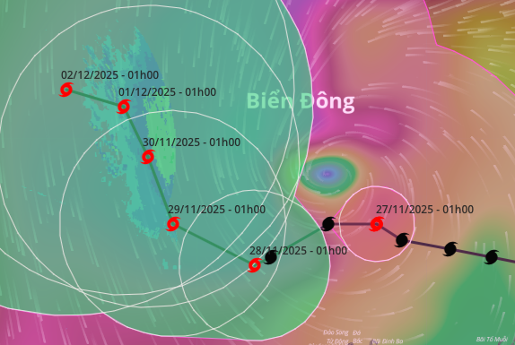 Bão số 15 mạnh cấp 12, giật cấp 15- Ảnh 1.