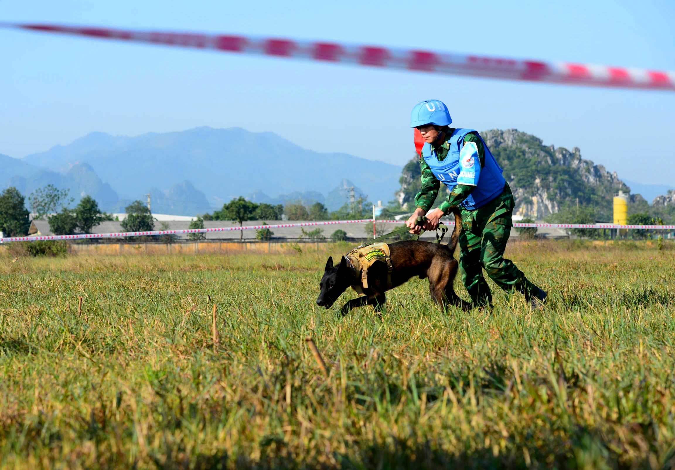 Quân đội Việt Nam - Ấn Độ diễn tập cứu trợ thảm họa động đất tại VINBAX 2025 - Ảnh 4. Quân đội Việt Nam - Ấn Độ diễn tập cứu trợ thảm họa động đất tại VINBAX 2025 - Ảnh 4.
