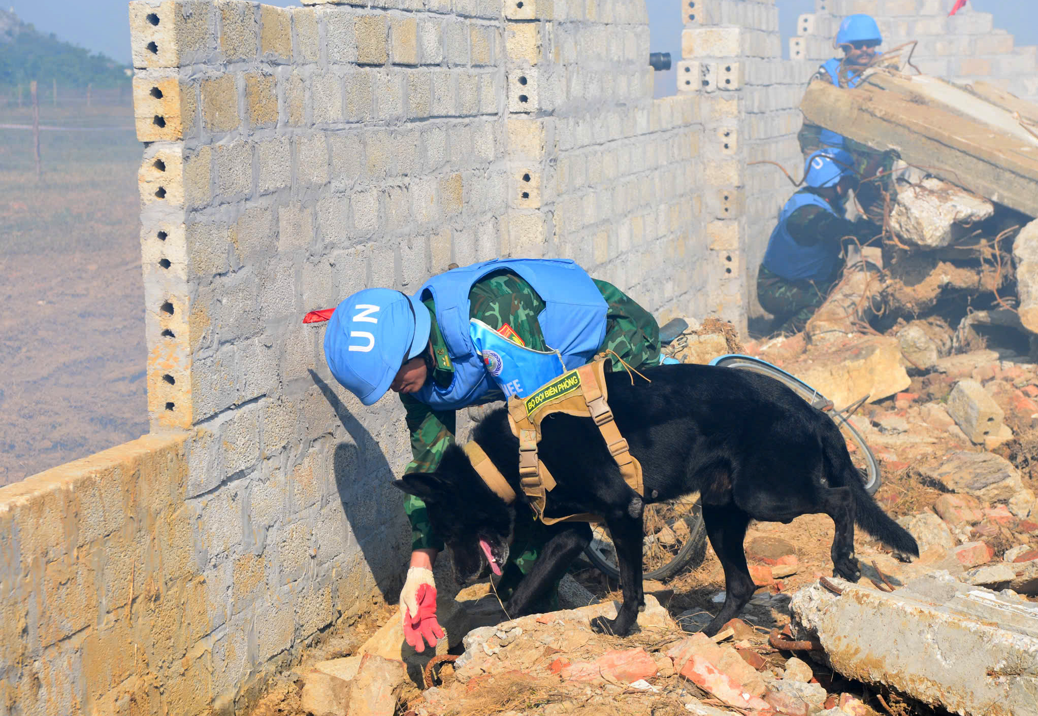 Quân đội Việt Nam - Ấn Độ diễn tập cứu trợ thảm họa động đất tại VINBAX 2025 - Ảnh 18. Quân đội Việt Nam - Ấn Độ diễn tập cứu trợ thảm họa động đất tại VINBAX 2025 - Ảnh 18.