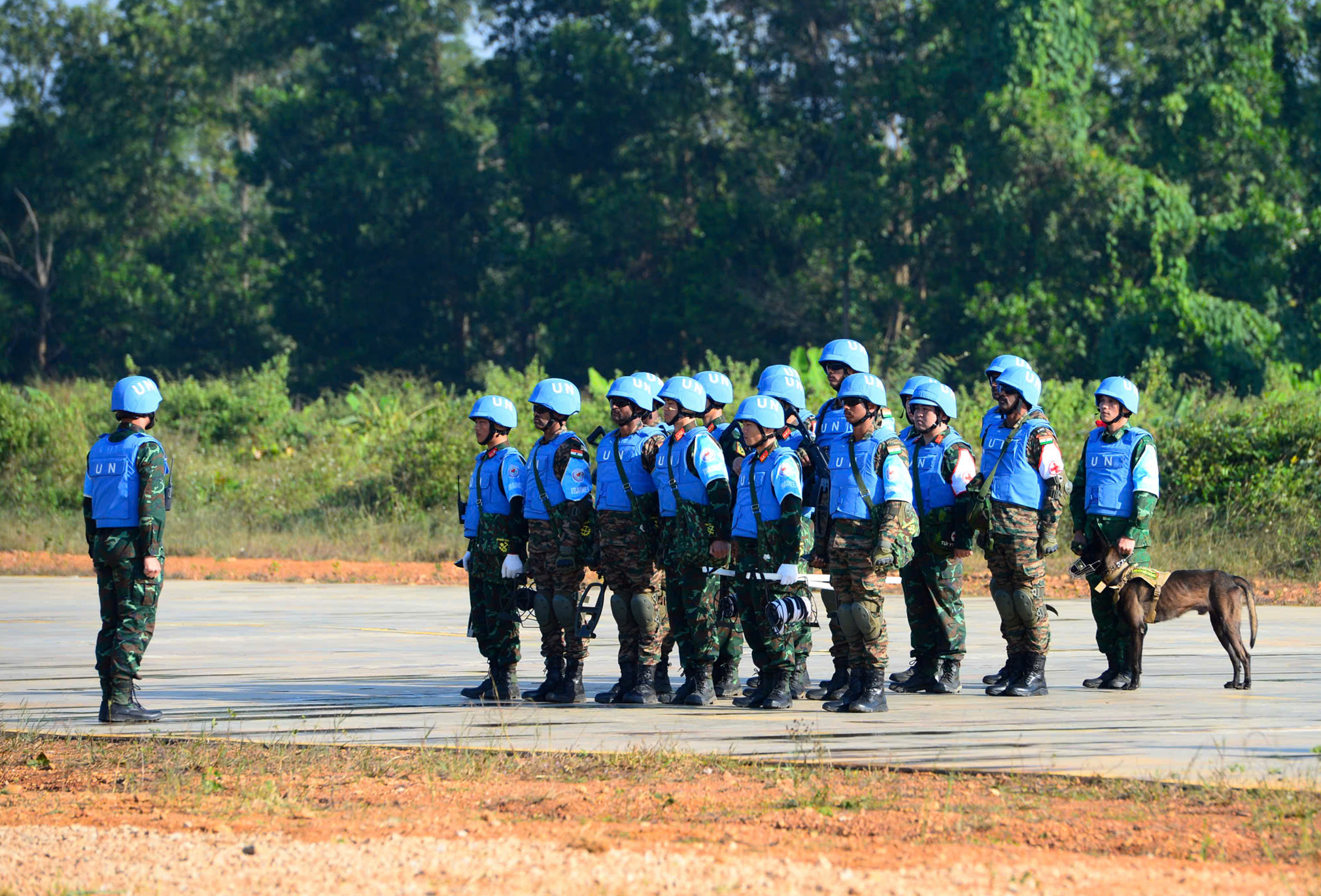 Quân đội Việt Nam - Ấn Độ diễn tập cứu trợ thảm họa động đất tại VINBAX 2025 - Ảnh 1. Quân đội Việt Nam - Ấn Độ diễn tập cứu trợ thảm họa động đất tại VINBAX 2025 - Ảnh 1.