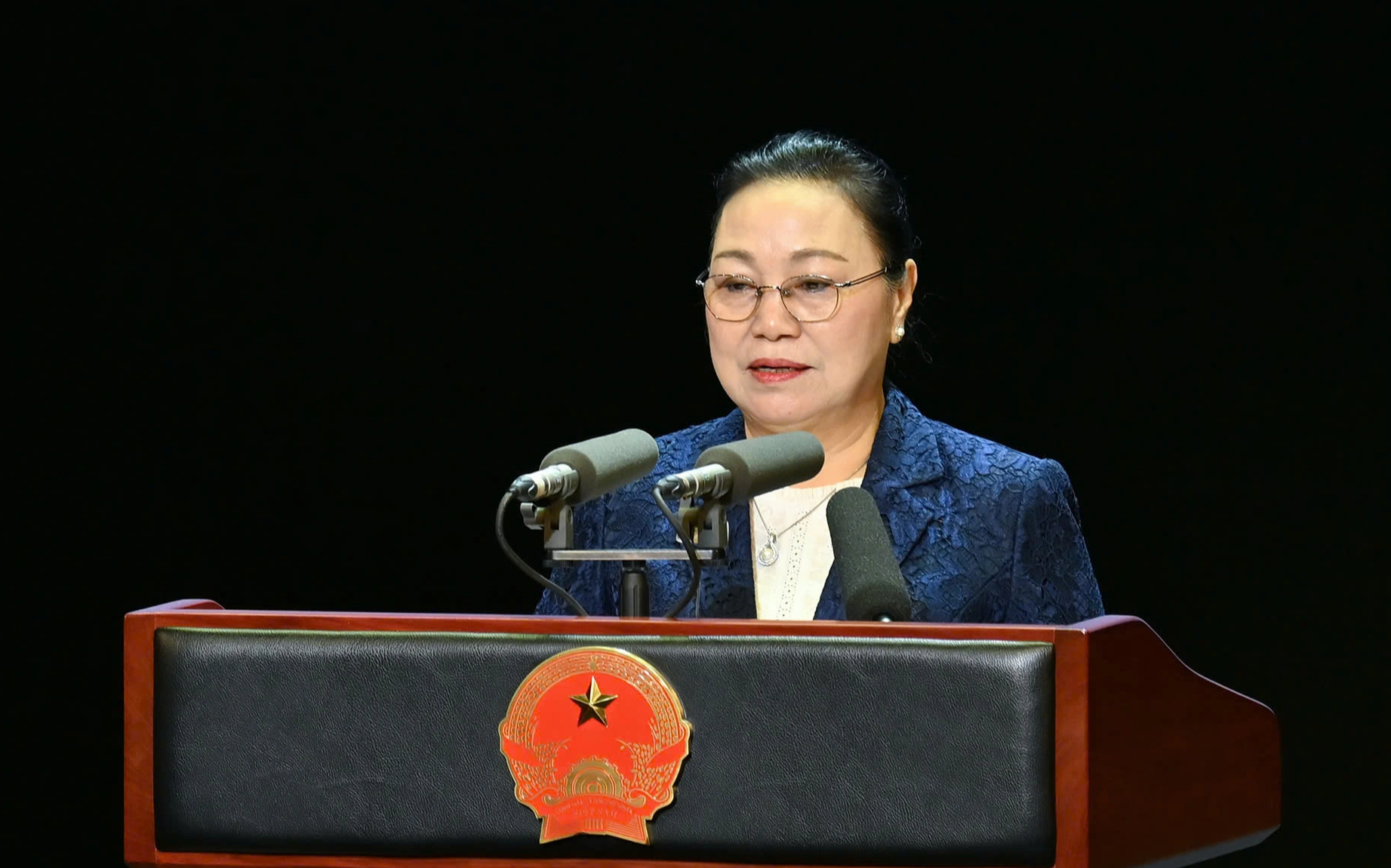 Chủ tịch nước Lương Cường kỷ niệm 50 năm quan hệ Việt - L&agrave;o vĩ đại - Ảnh 4.