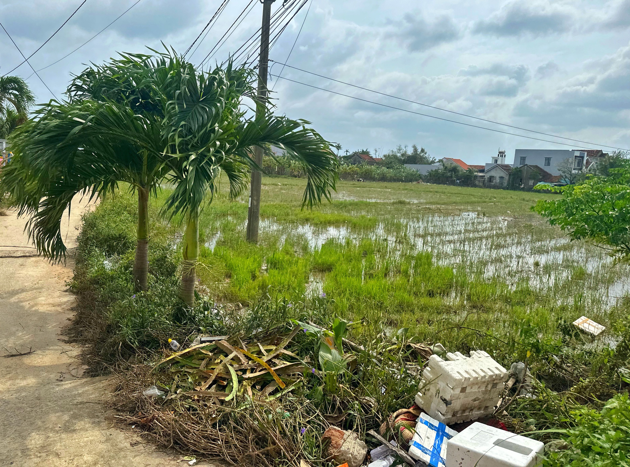 Phú Yên cũ trong cùng một khung cảnh: Ngày lũ và ngày nắng lên - Ảnh 5.