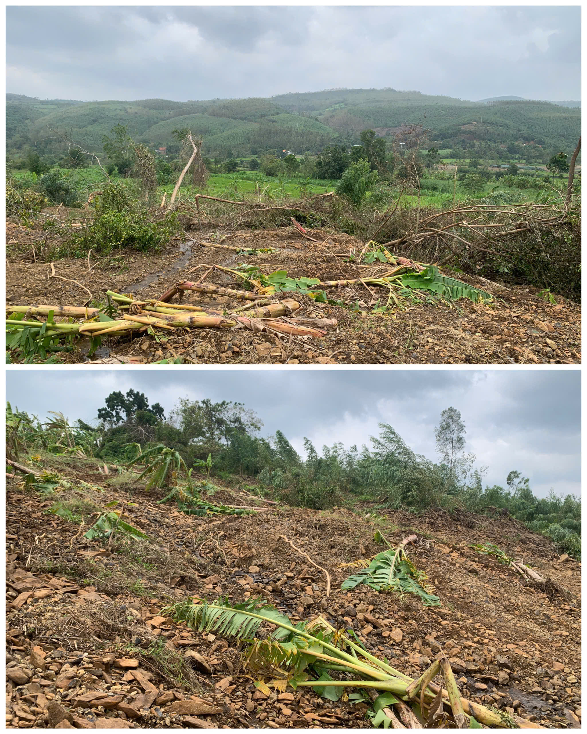 Đắk Lắk: Khẩn cấp di dời 13 hộ dân do sạt lở núi  - Ảnh 2.