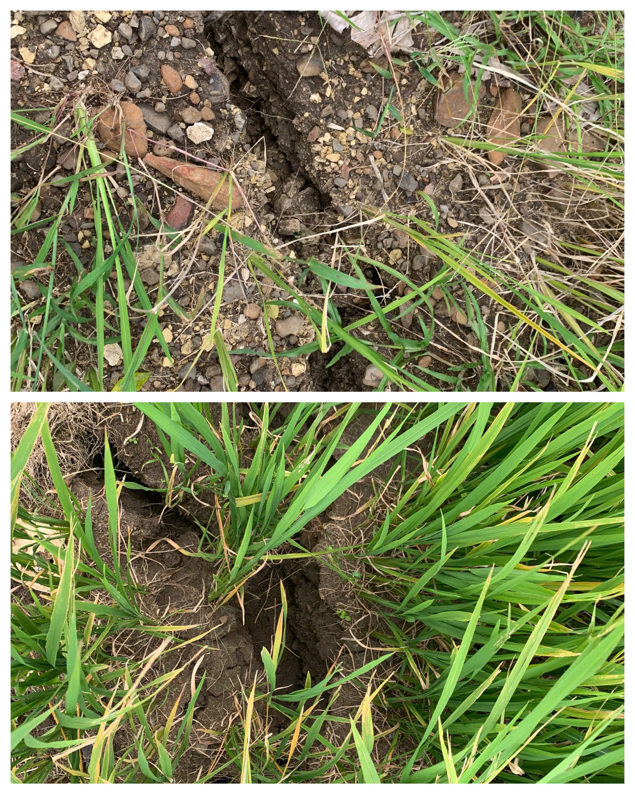 Đắk Lắk: Khẩn cấp di dời 13 hộ dân do sạt lở núi  - Ảnh 4.