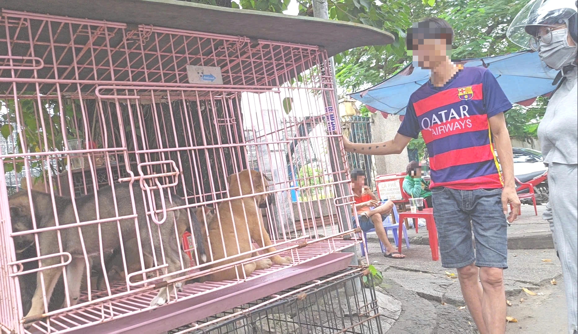 Nhức nhối trộm chó, mèo ở TP.HCM - Kỳ 2: Dùng AI tạo chó giả để lừa tiền chuộc- Ảnh 1. Nhức nhối trộm chó, mèo ở TP.HCM - Kỳ 2: Dùng AI tạo chó giả để lừa tiền chuộc- Ảnh 1.