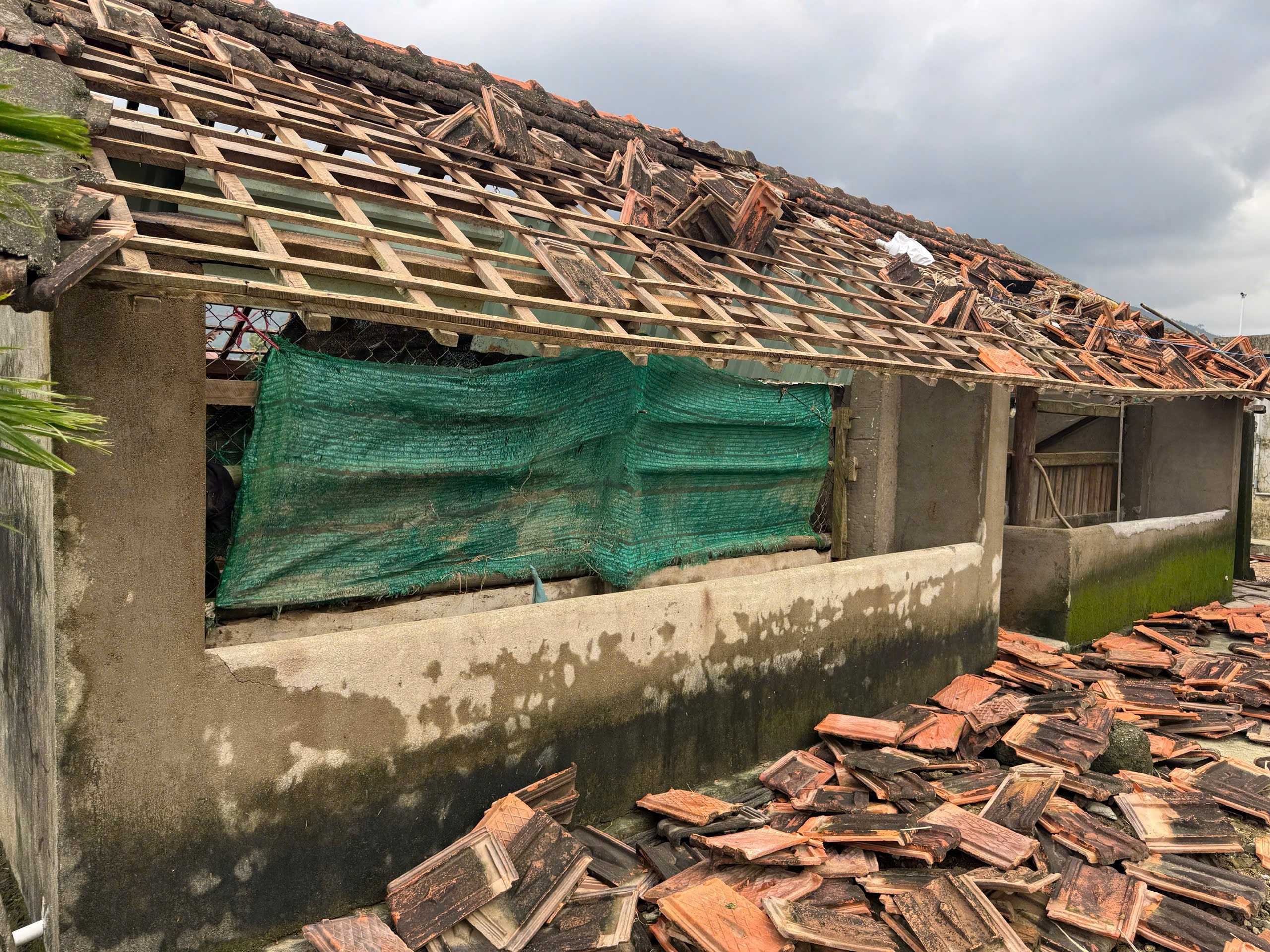 Hoàn cảnh của cô sinh viên đi cứu trợ lũ lụt khiến nhóm drone nghẹn ngào - Ảnh 1.