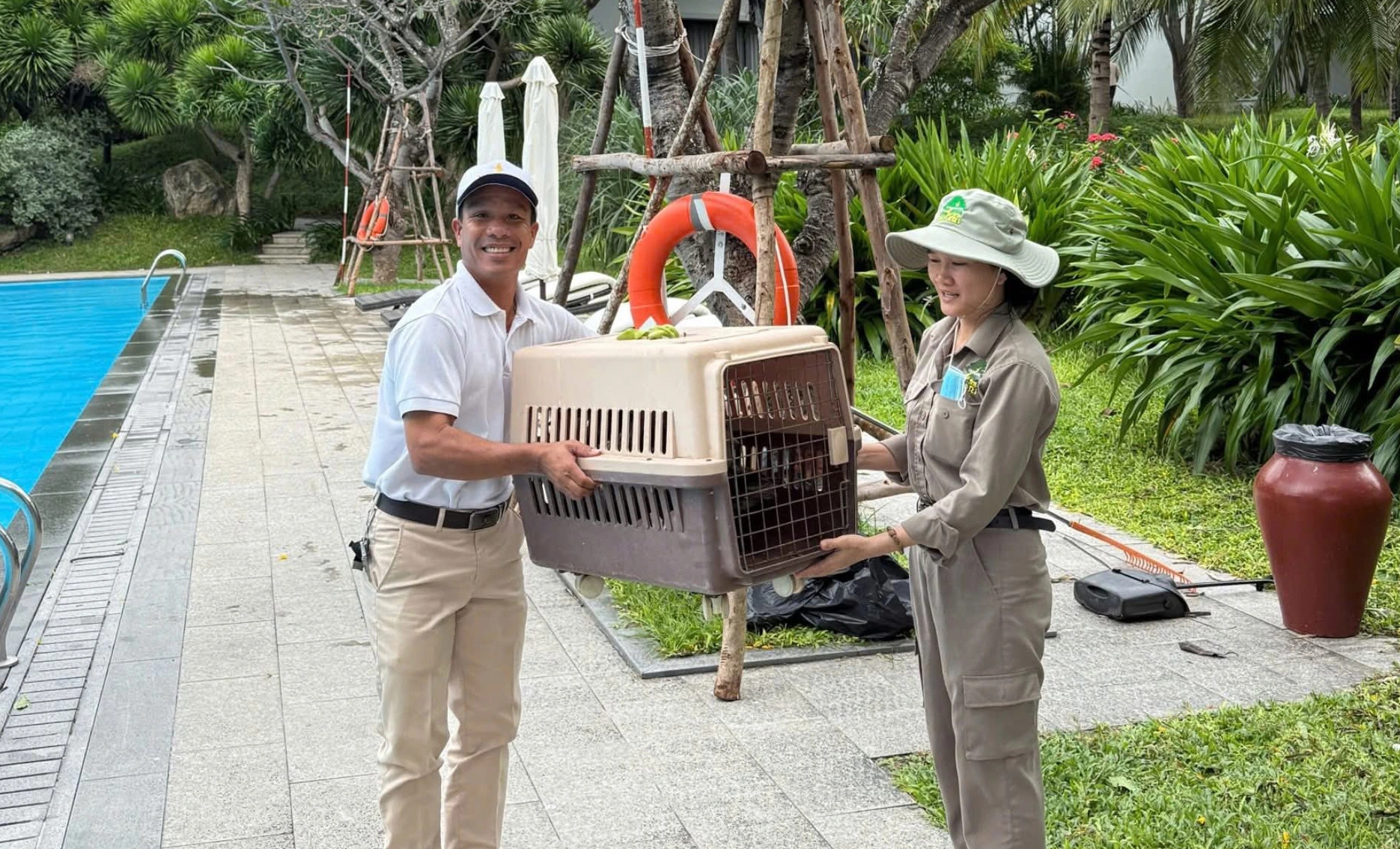 Đàn vịt trôi trên biển trong cơn lũ: Được khám sức khỏe, đi trú bão Koto  - Ảnh 3.