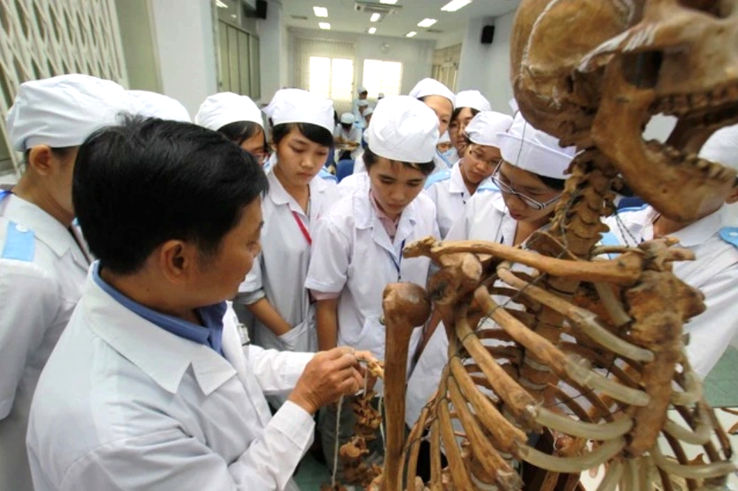 Chủ trương siết đào tạo y khoa và luật: Sinh  viên nói gì?- Ảnh 1.