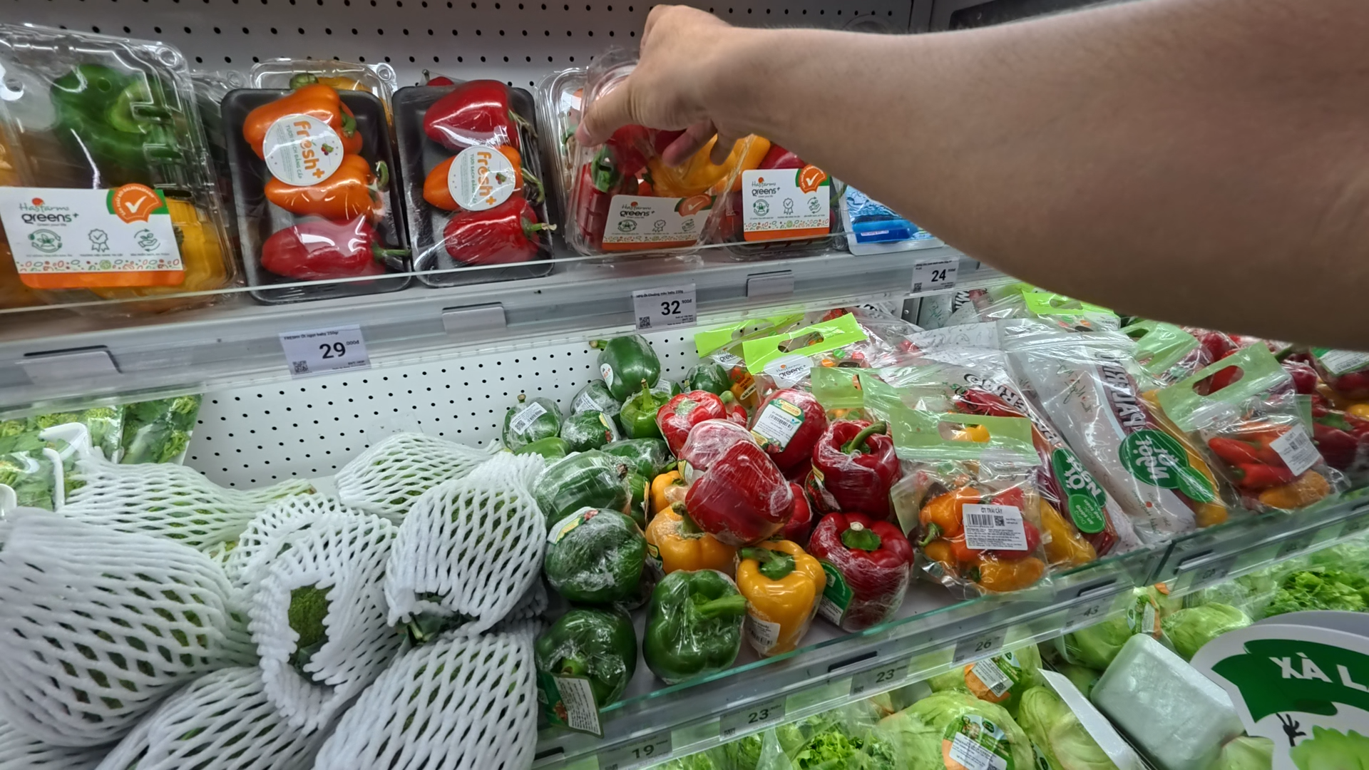 C&ugrave;ng sống xanh số 135: Nu&ocirc;i thi&ecirc;n địch, n&ocirc;ng d&acirc;n L&acirc;m Đồng sống khỏe nhờ trồng ớt chu&ocirc;ng- Ảnh 2.