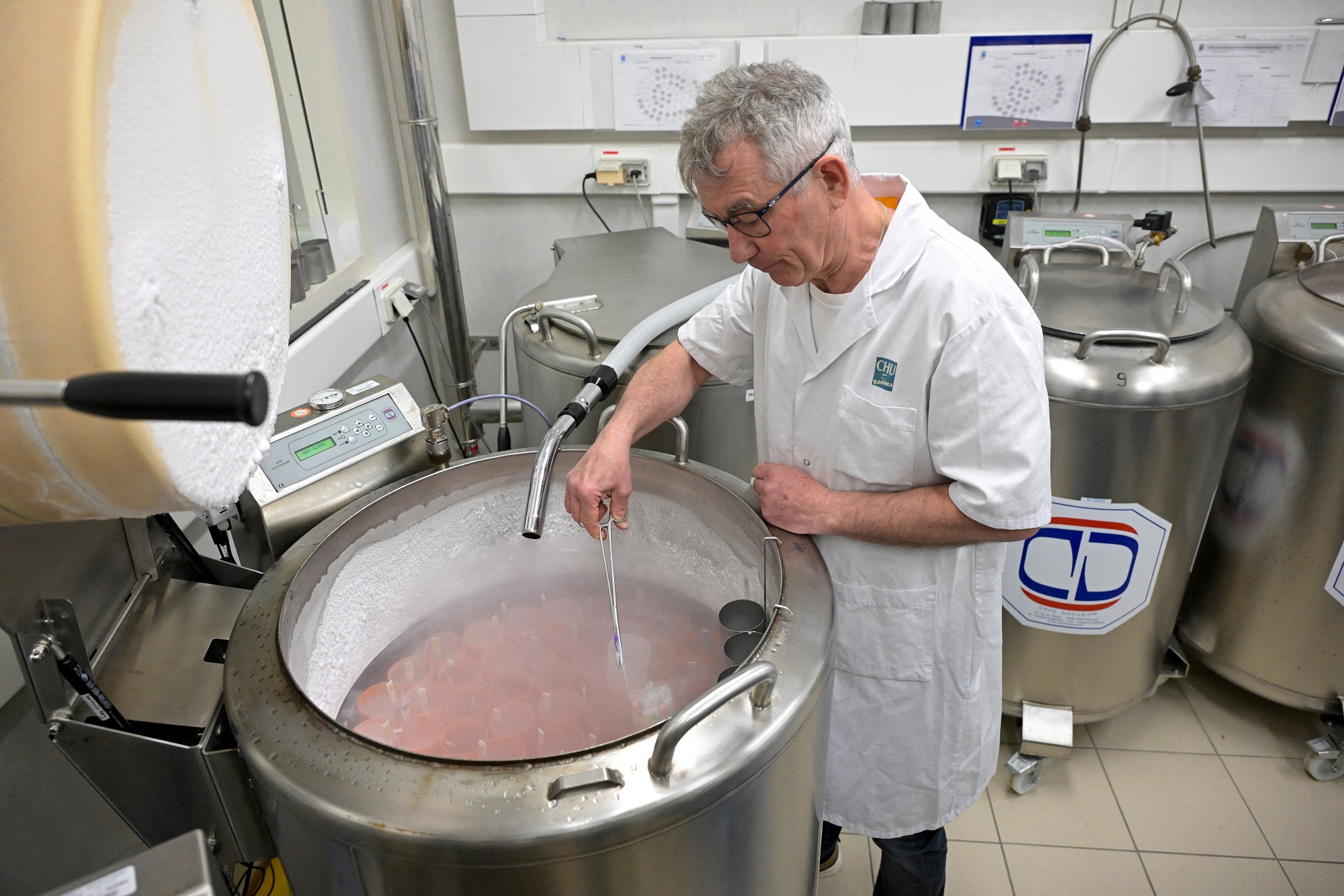 WHO lần đầu ban hành hướng dẫn toàn cầu chống vô sinh - Ảnh 1.