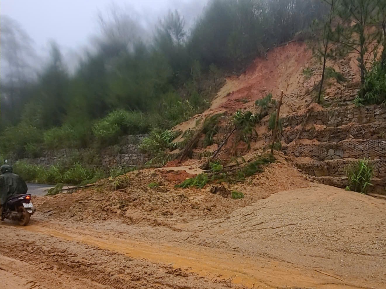 Công bố tình huống khẩn cấp về thiên tai QL27C nối Đà Lạt – Nha Trang - Ảnh 3. Công bố tình huống khẩn cấp về thiên tai QL27C nối Đà Lạt – Nha Trang - Ảnh 3.