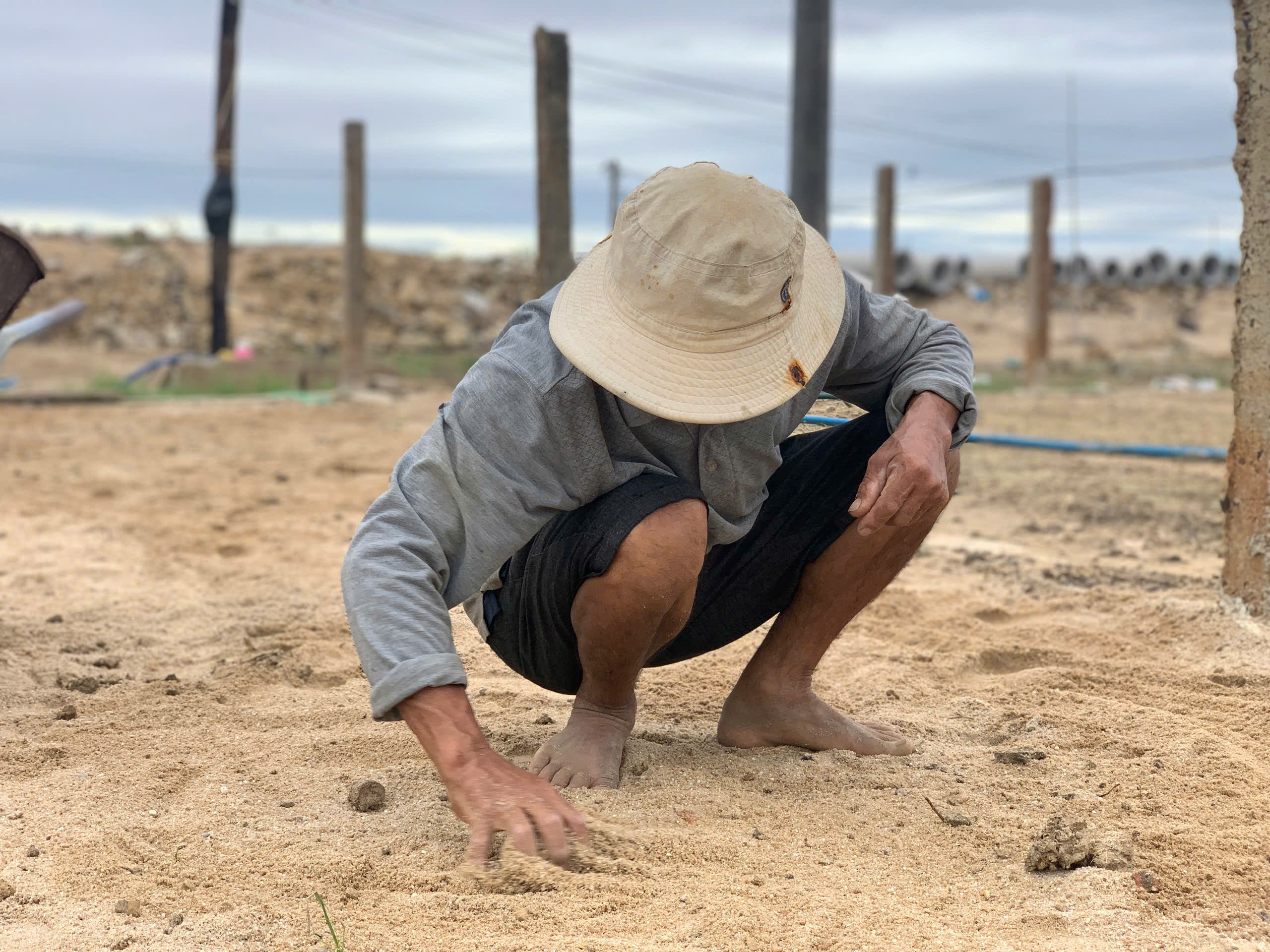 Đất làng rau phường Tuy Hòa thành 'đất chết', 'bỏ không được, nhìn đắng cay'- Ảnh 2. Đất làng rau phường Tuy Hòa thành 'đất chết', 'bỏ không được, nhìn đắng cay'- Ảnh 2.