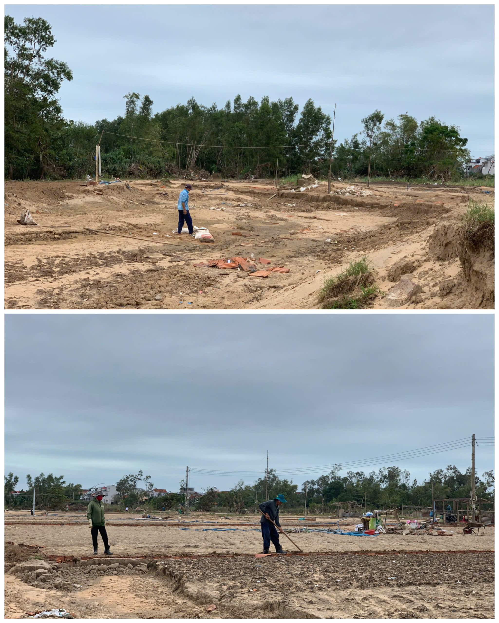 Đất làng rau phường Tuy Hòa thành 'đất chết', 'bỏ không được, nhìn đắng cay'- Ảnh 6. Đất làng rau phường Tuy Hòa thành 'đất chết', 'bỏ không được, nhìn đắng cay'- Ảnh 6.