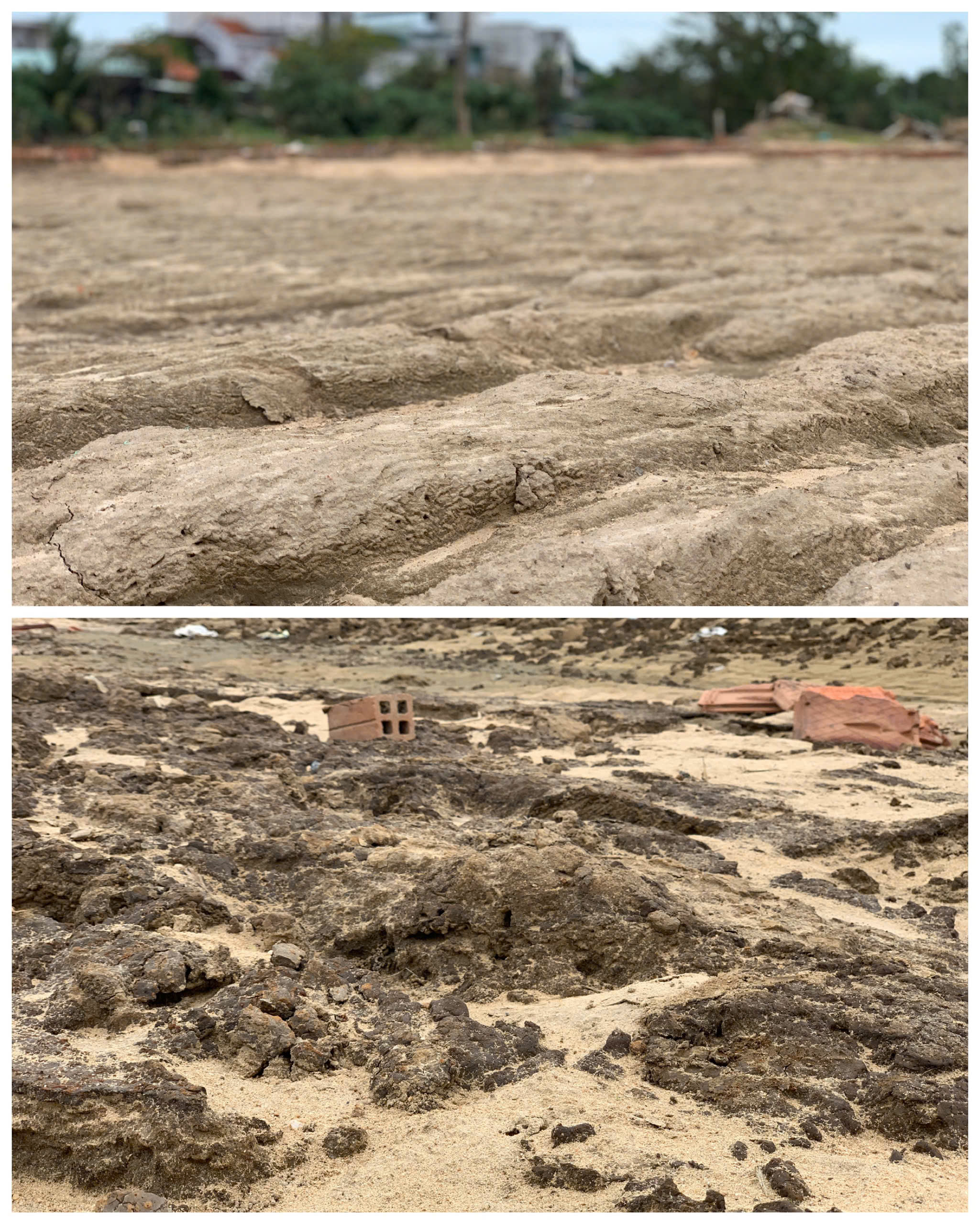 Đất làng rau phường Tuy Hòa thành 'đất chết', 'bỏ không được, nhìn đắng cay'- Ảnh 5. Đất làng rau phường Tuy Hòa thành 'đất chết', 'bỏ không được, nhìn đắng cay'- Ảnh 5.