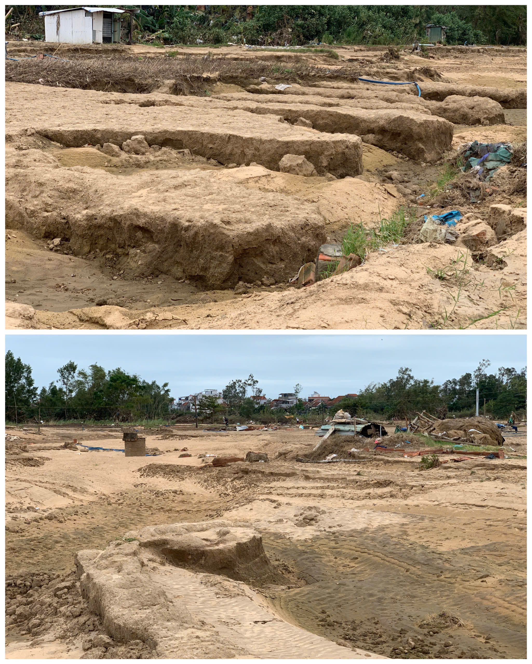 Đất làng rau phường Tuy Hòa thành 'đất chết', 'bỏ không được, nhìn đắng cay'- Ảnh 4. Đất làng rau phường Tuy Hòa thành 'đất chết', 'bỏ không được, nhìn đắng cay'- Ảnh 4.