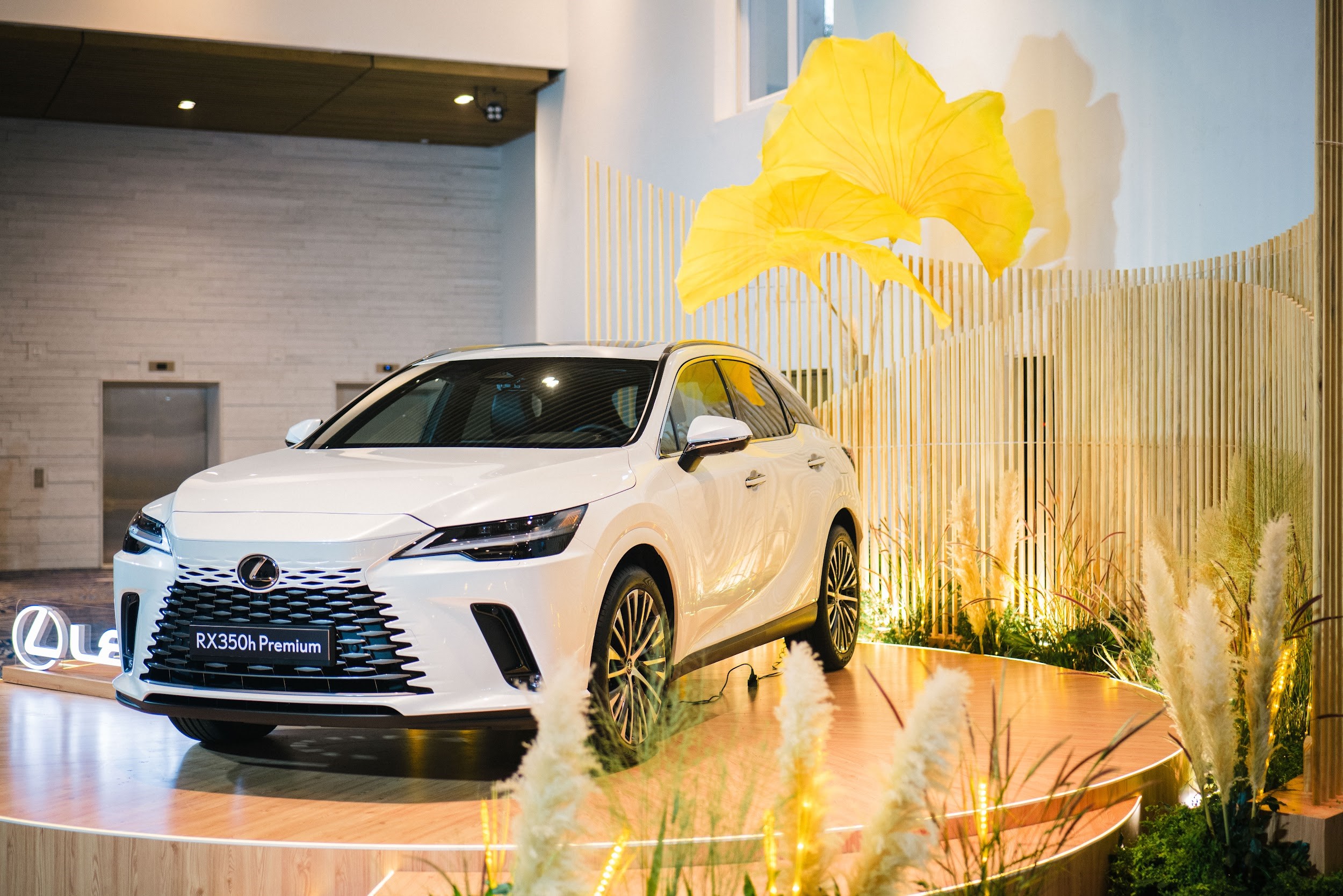 Từ hành trình ‘Sense Vietnam’ đến trải nghiệm ‘Sense Your Soul - Nghe hương ngày thu’- Ảnh 4. Từ hành trình ‘Sense Vietnam’ đến trải nghiệm ‘Sense Your Soul - Nghe hương ngày thu’- Ảnh 4.