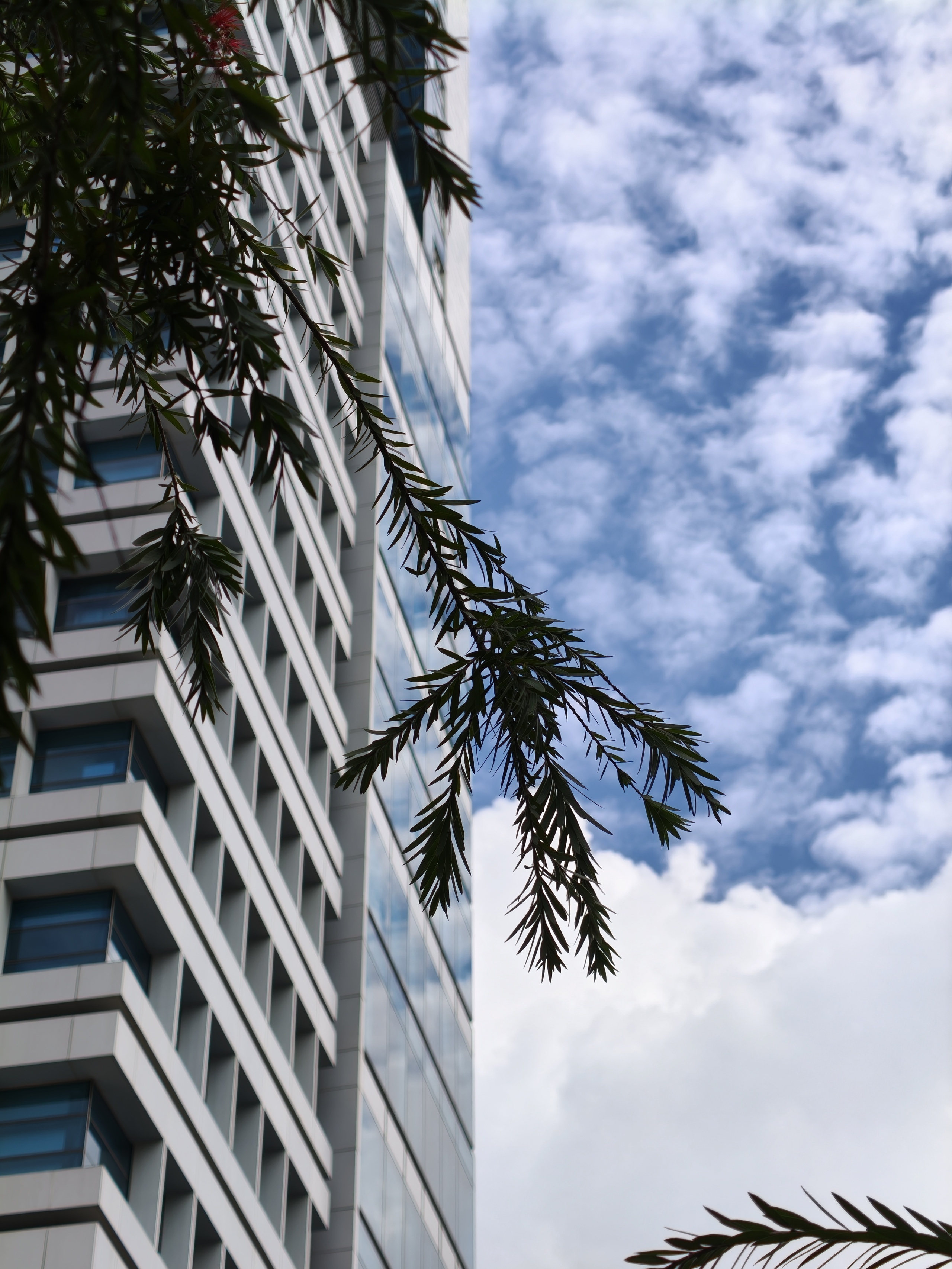 Đánh giá chuyên sâu camera OPPO Find X9 - Ảnh 7.